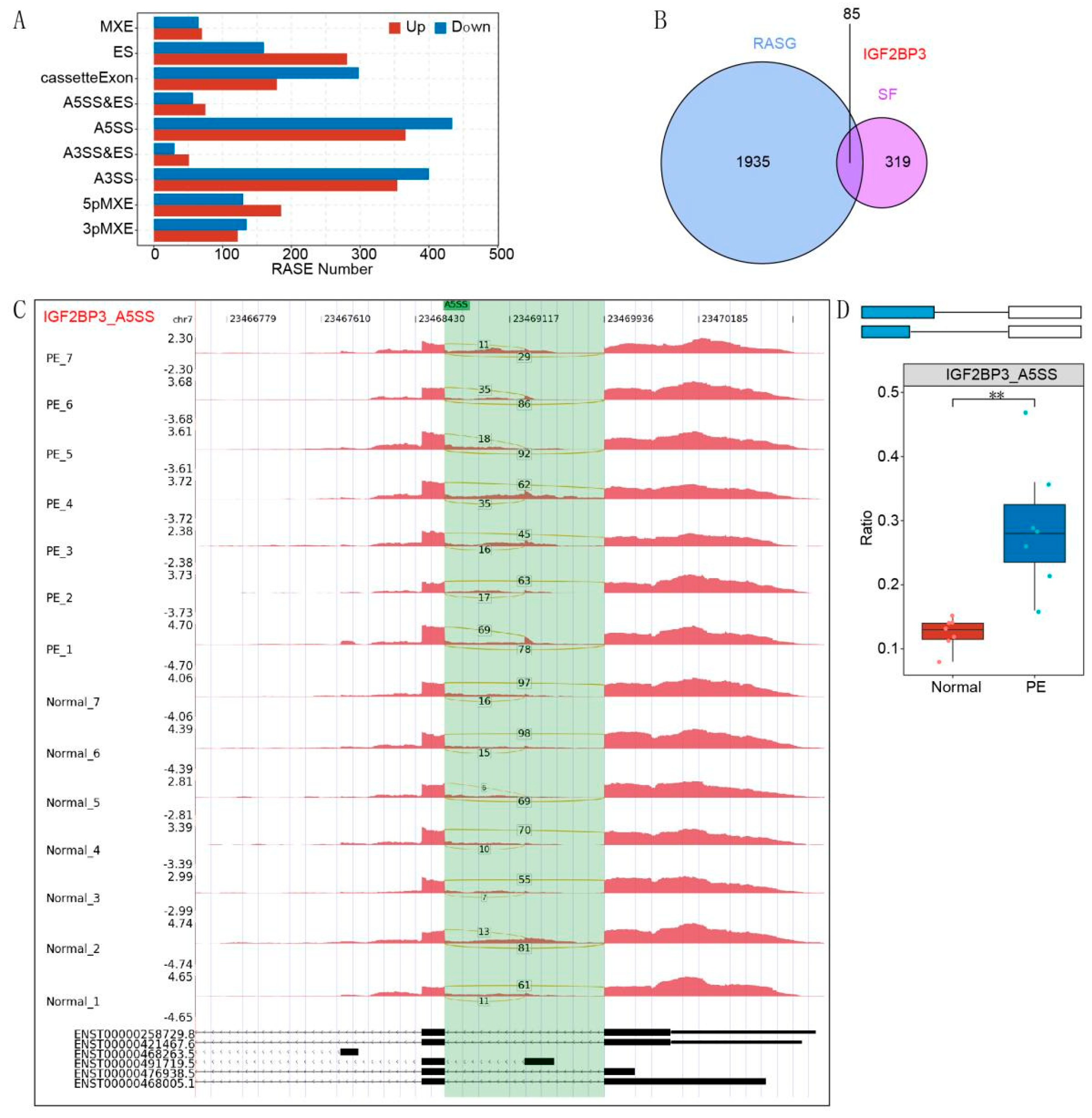 Biomedicines 13 01268 g001