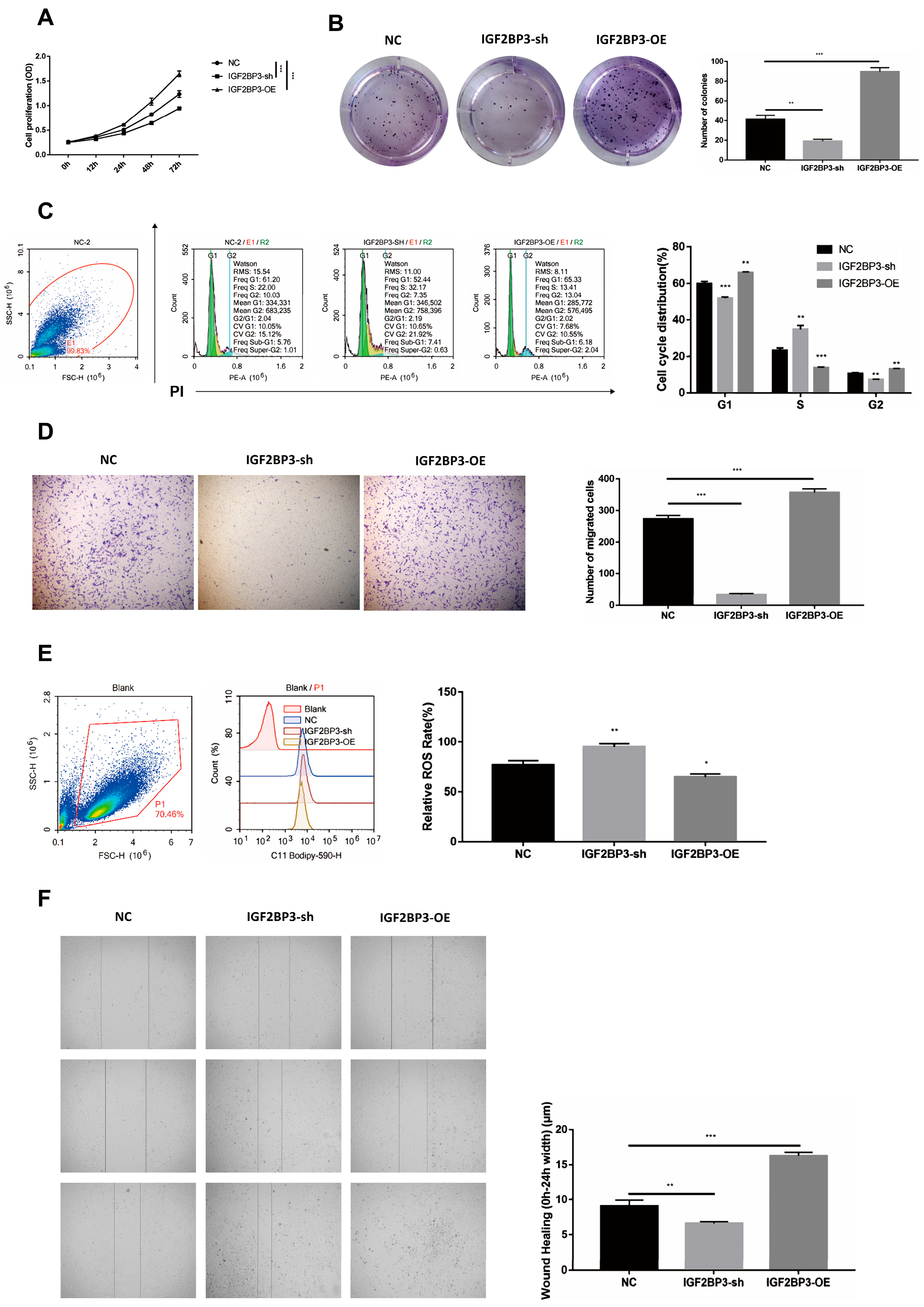 Biomedicines 13 01268 g002