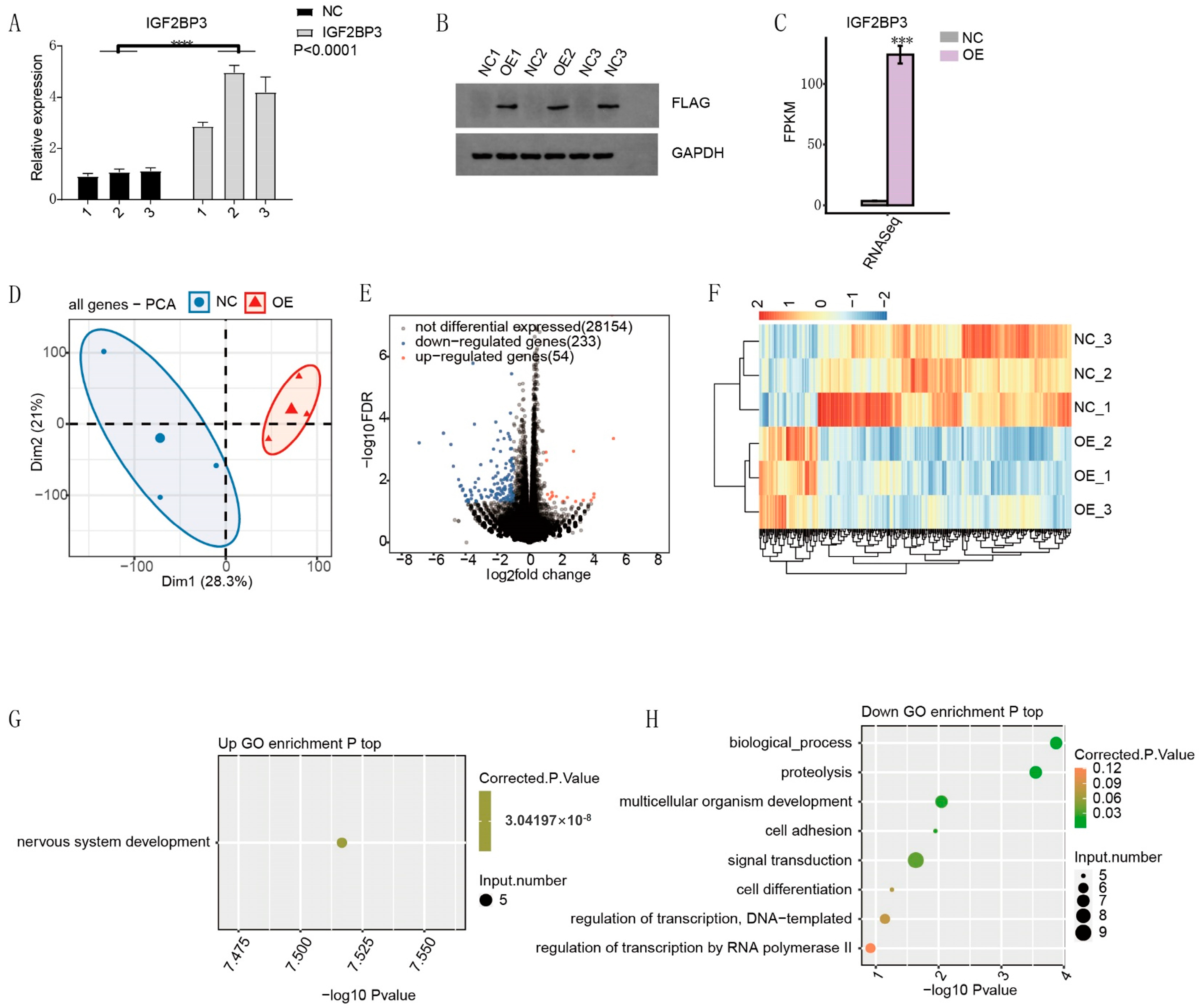 Biomedicines 13 01268 g003