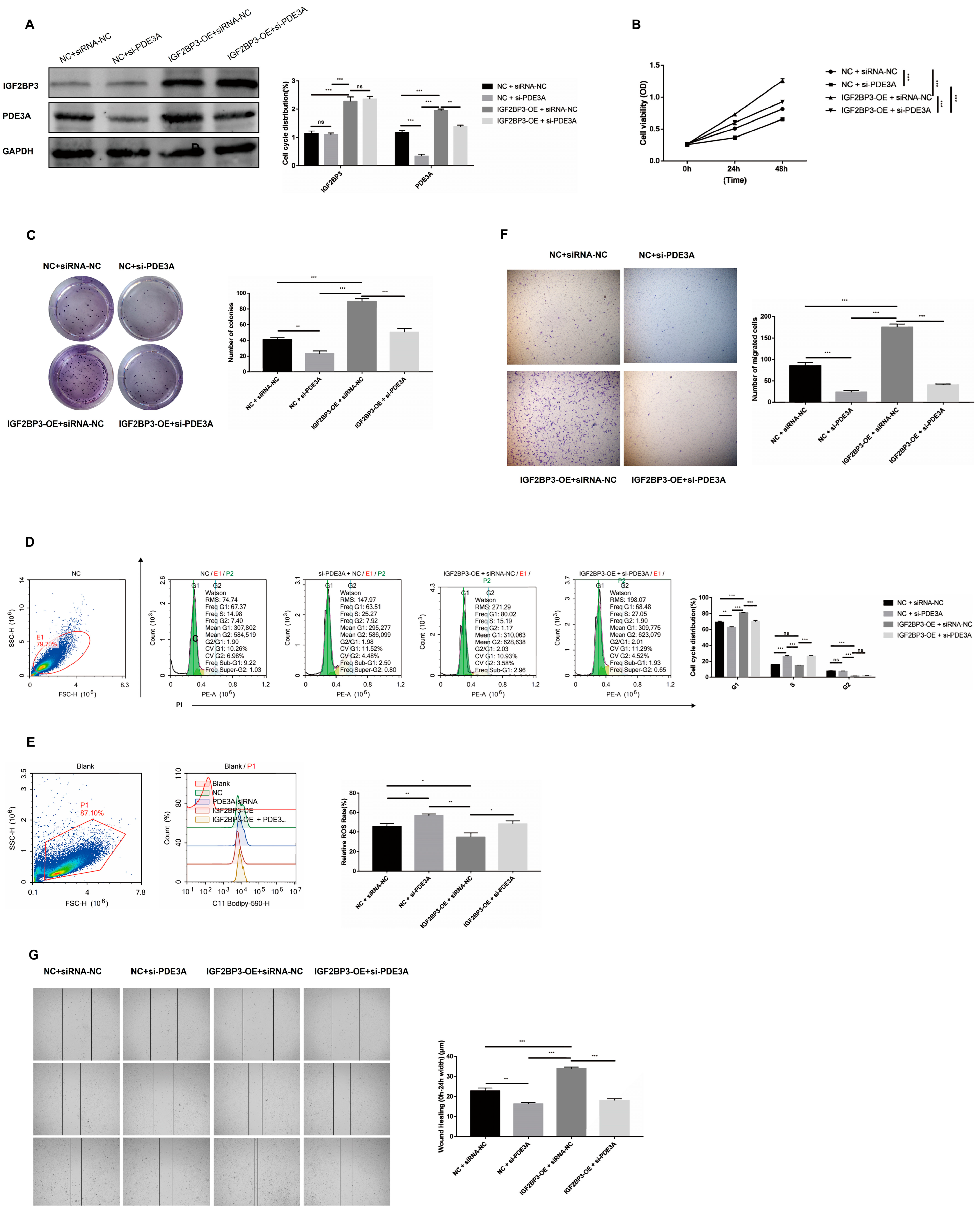 Biomedicines 13 01268 g006