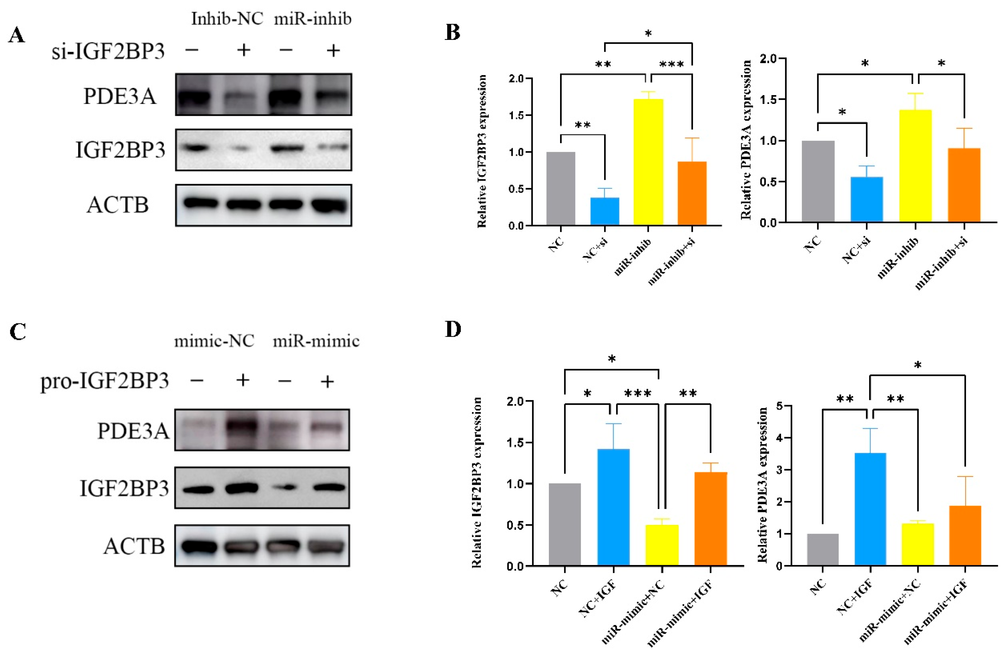 Biomedicines 13 01268 g008