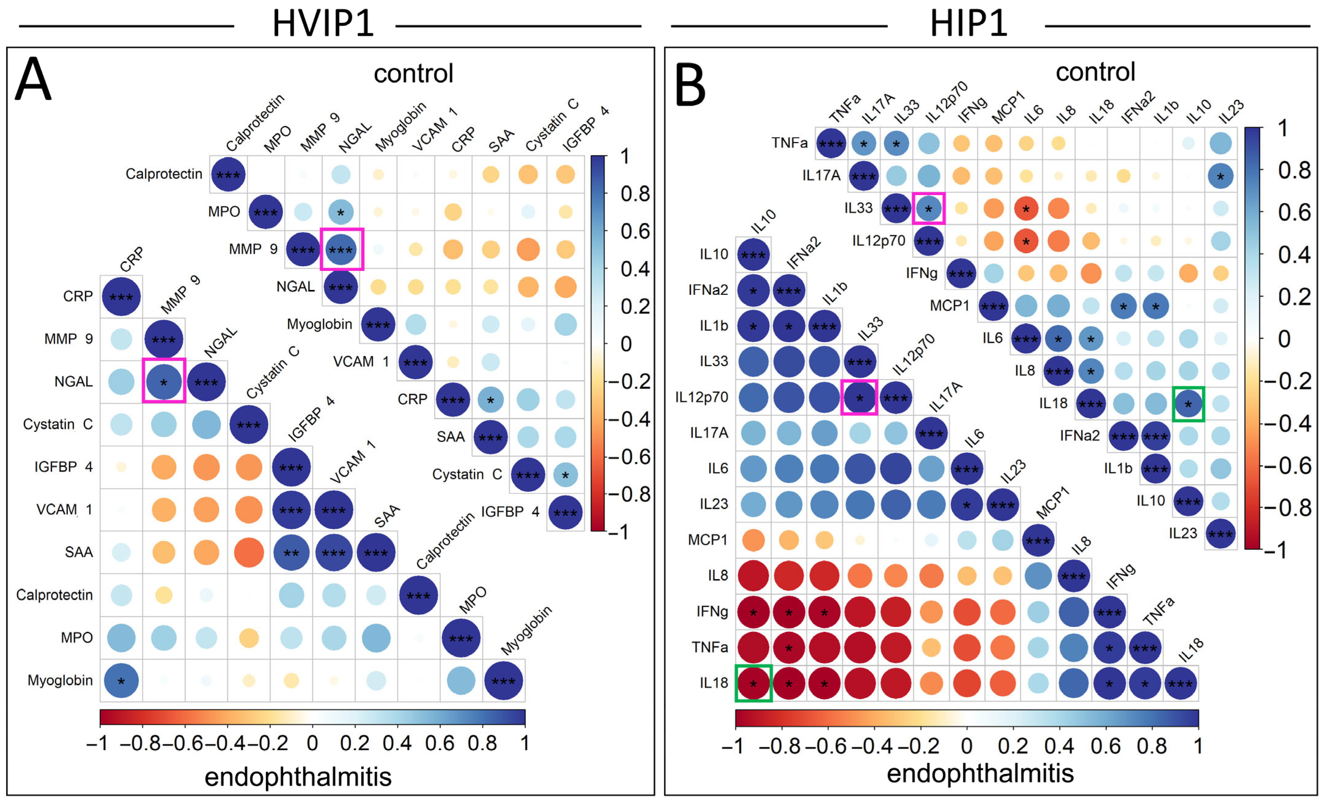 Biomedicines 13 01269 g004