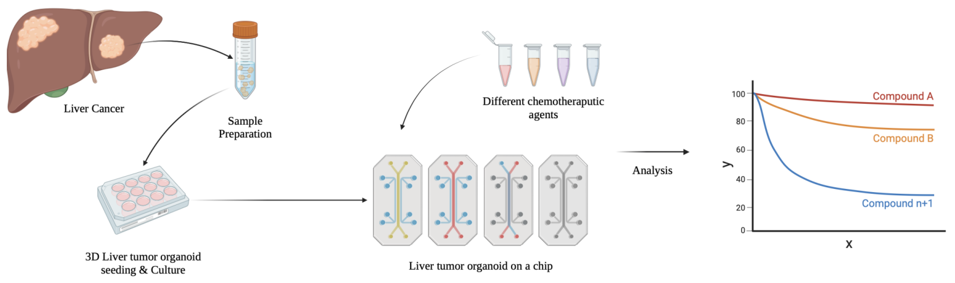 Biomedicines 13 01272 g003