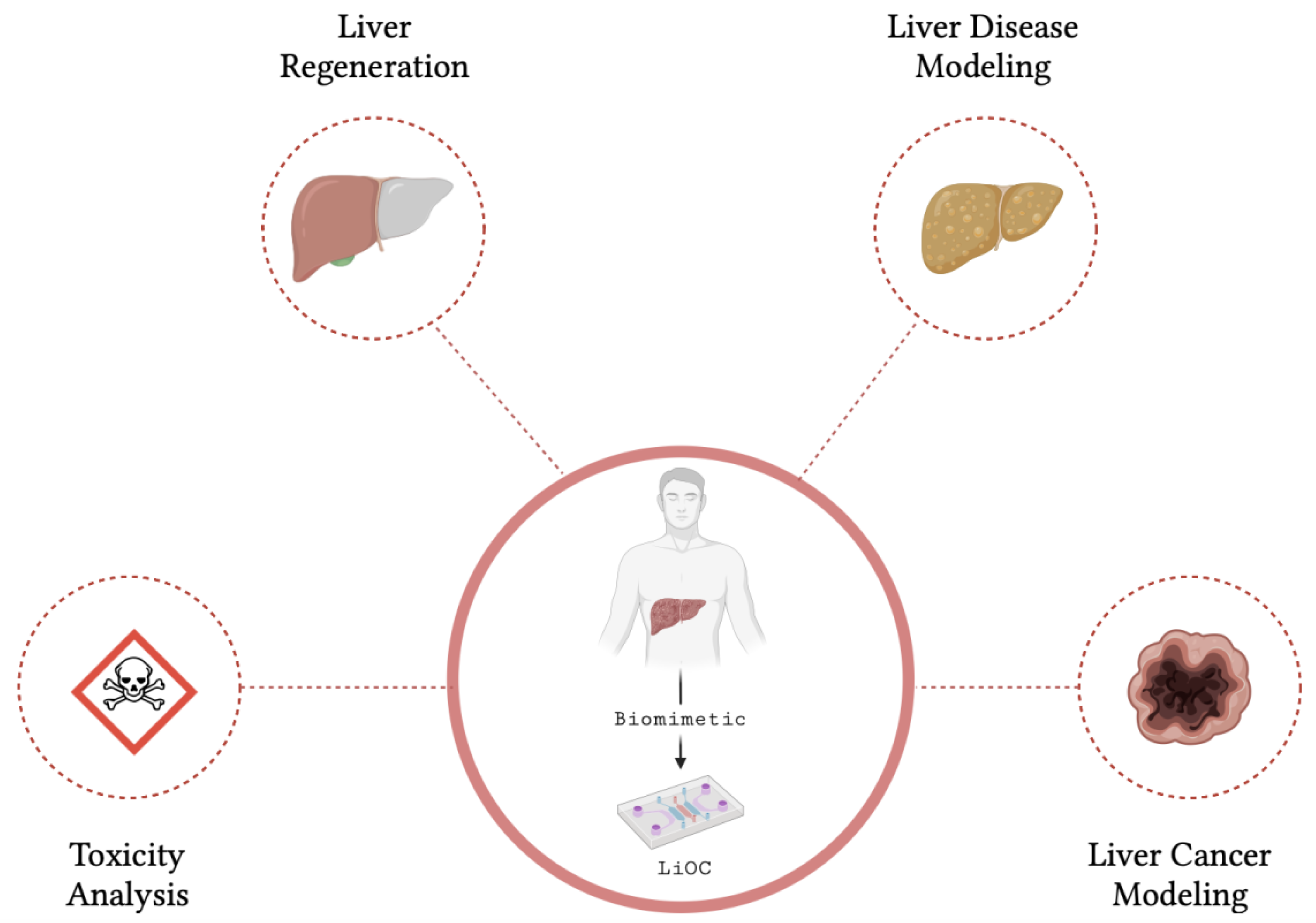 Biomedicines 13 01272 g006