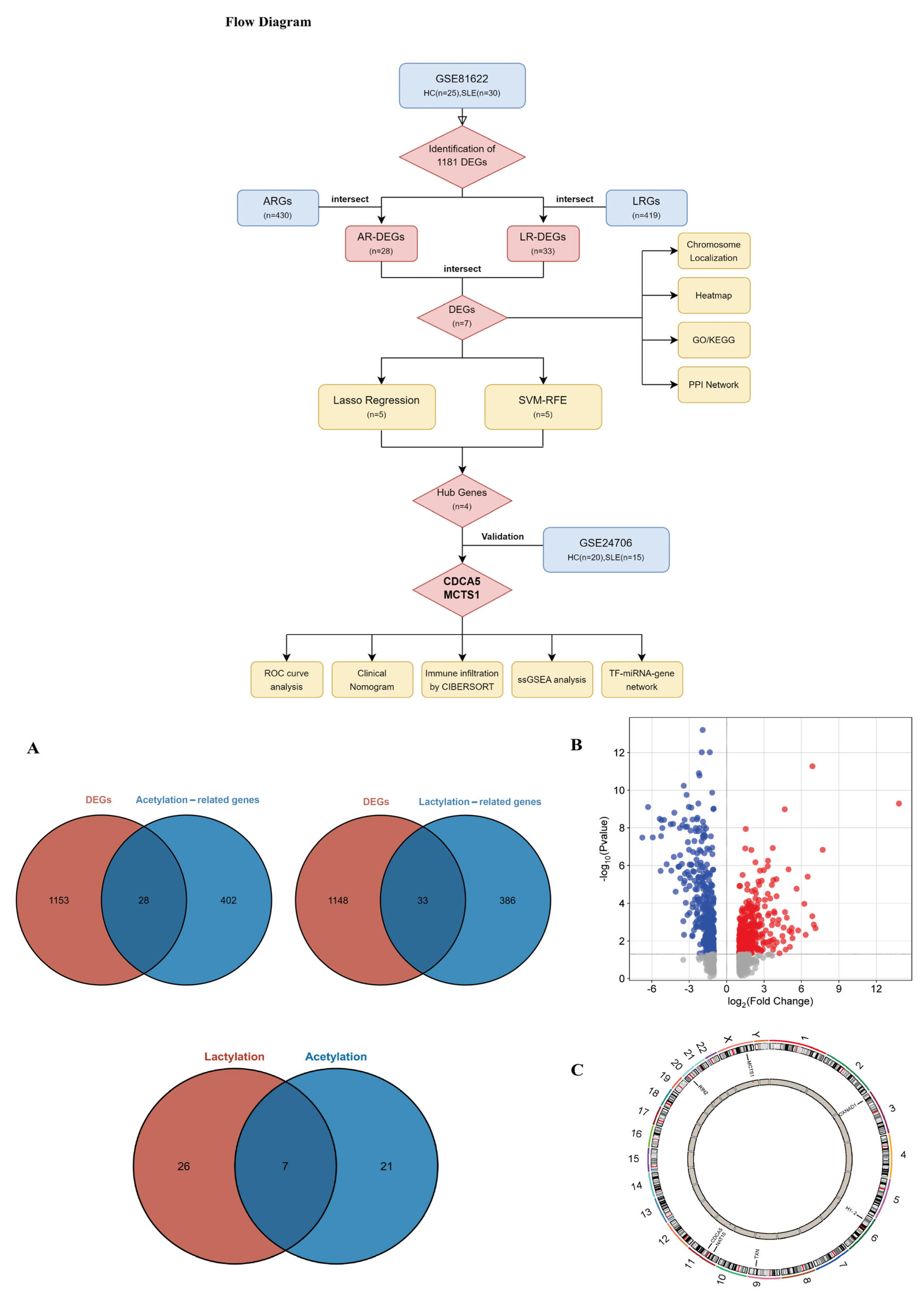 Biomedicines 13 01274 g001