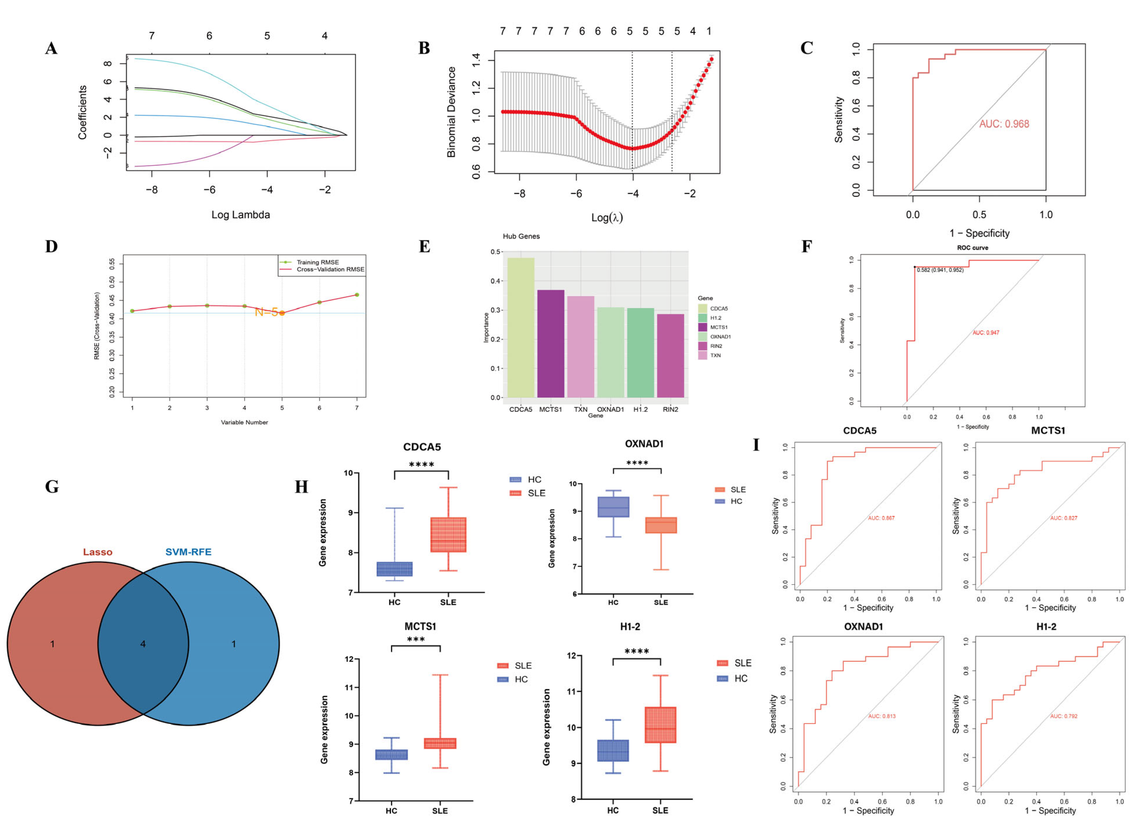 Biomedicines 13 01274 g003