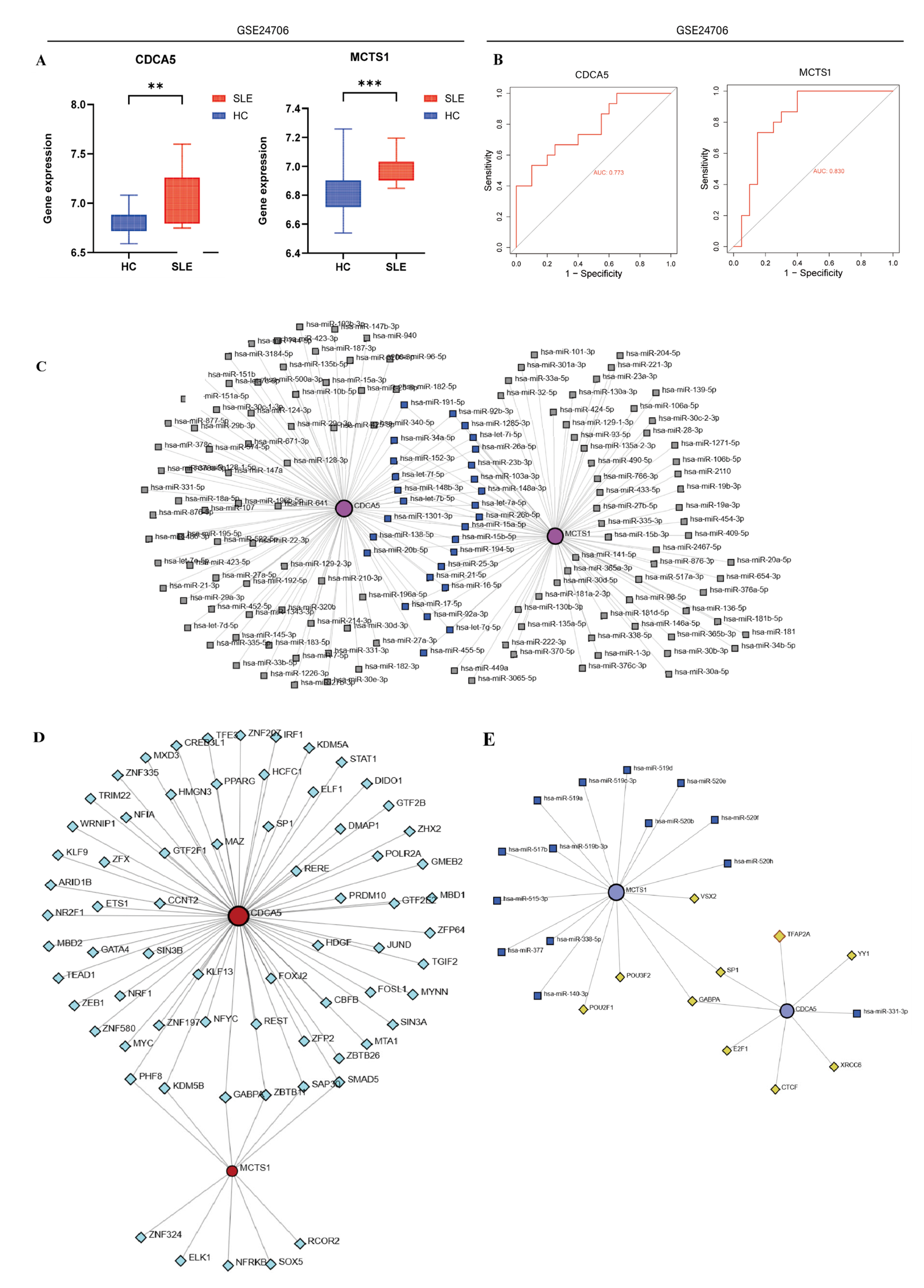 Biomedicines 13 01274 g004