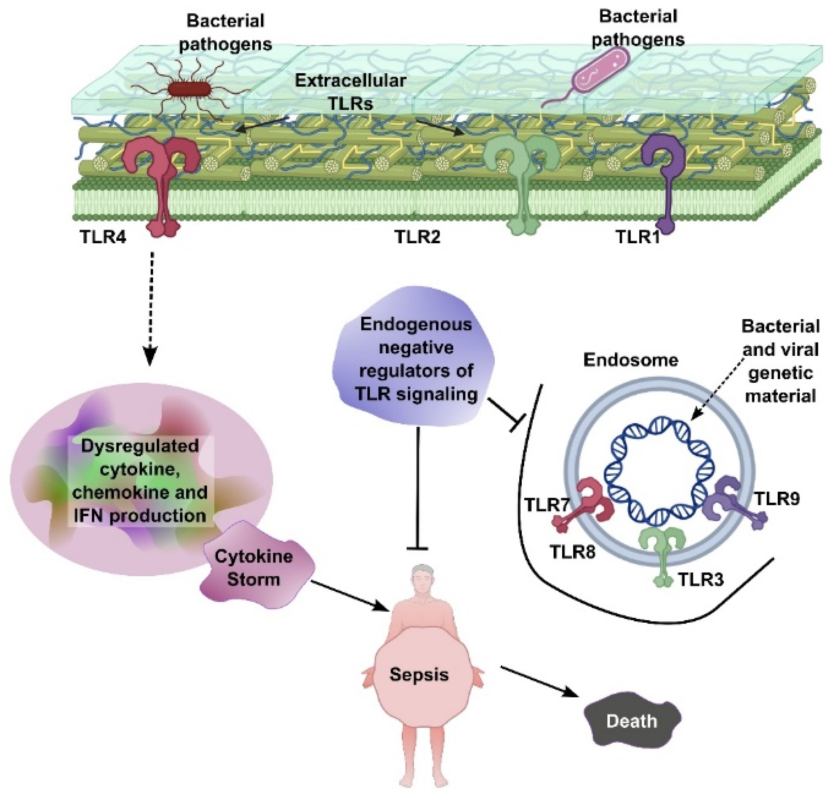 Biomedicines 13 01280 g001
