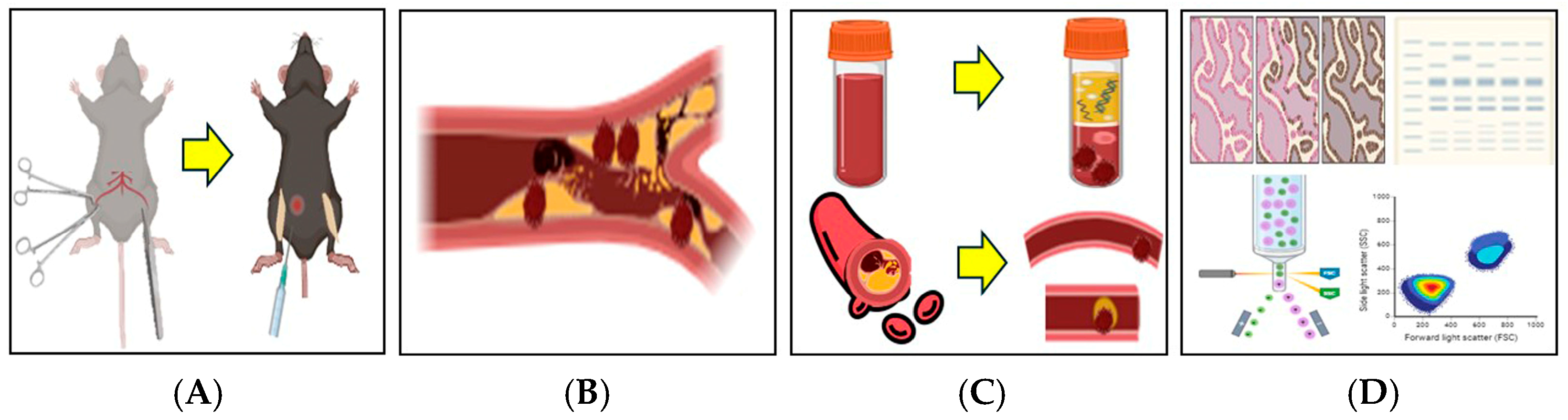 Biomedicines 13 01284 g001