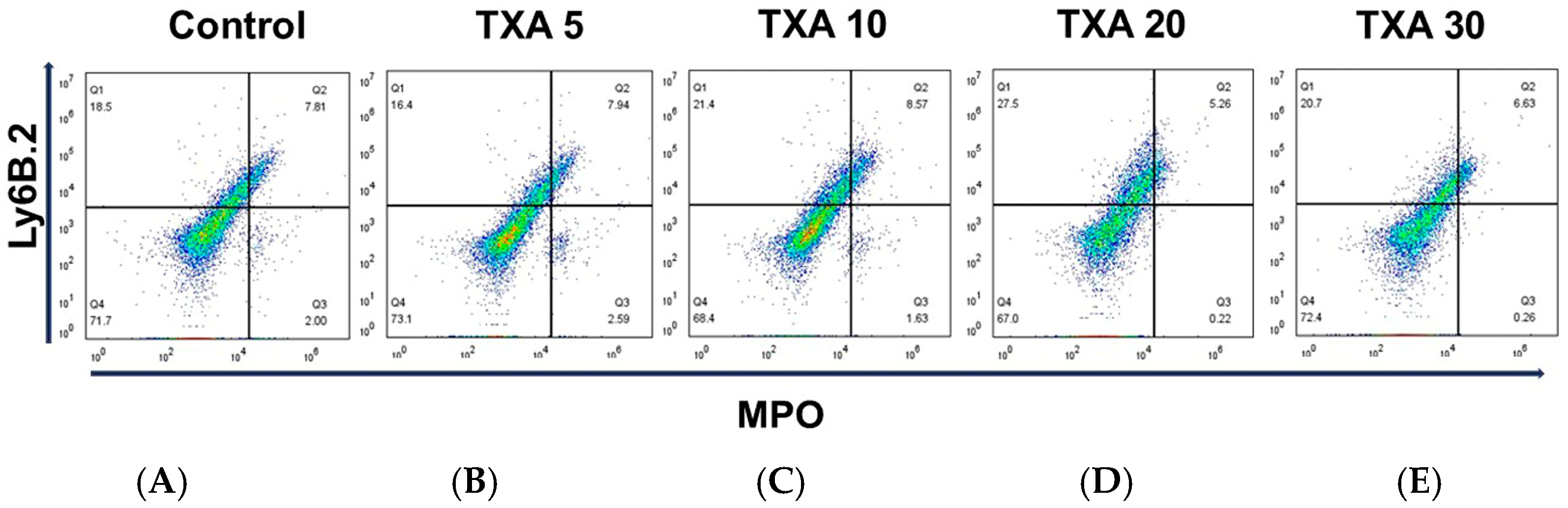 Biomedicines 13 01284 g005