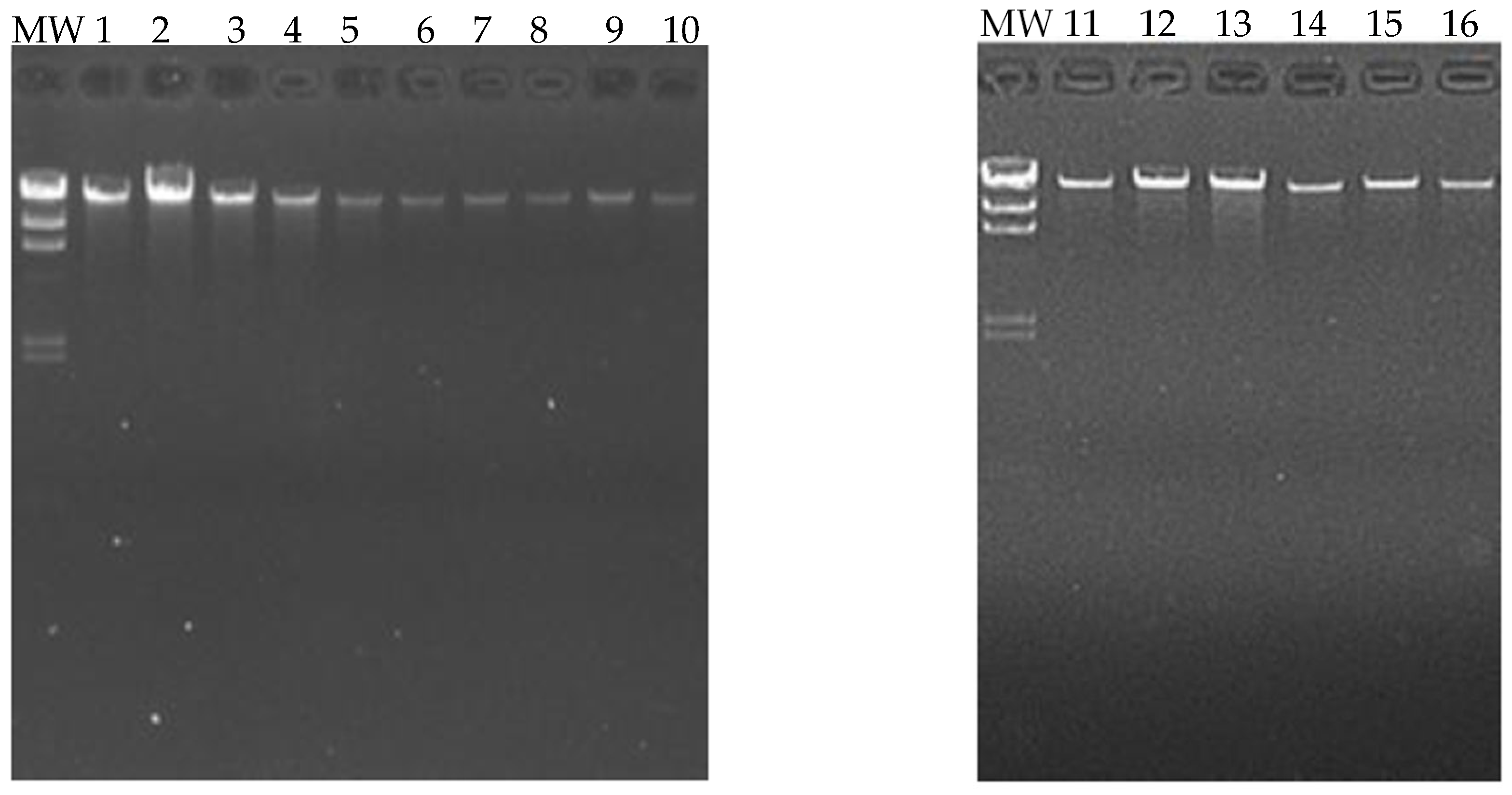 Biomedicines 13 01288 g003