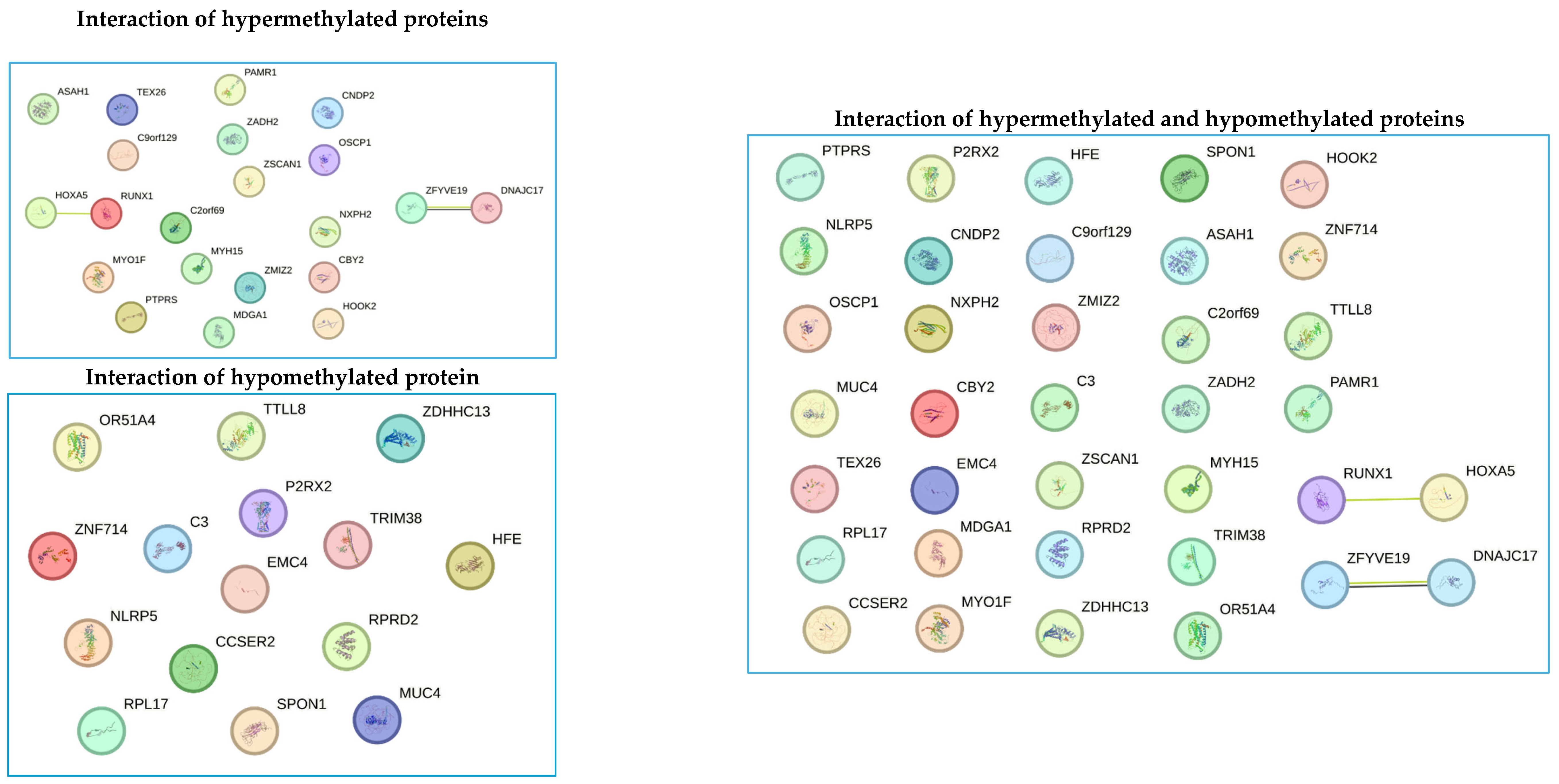 Biomedicines 13 01288 g008