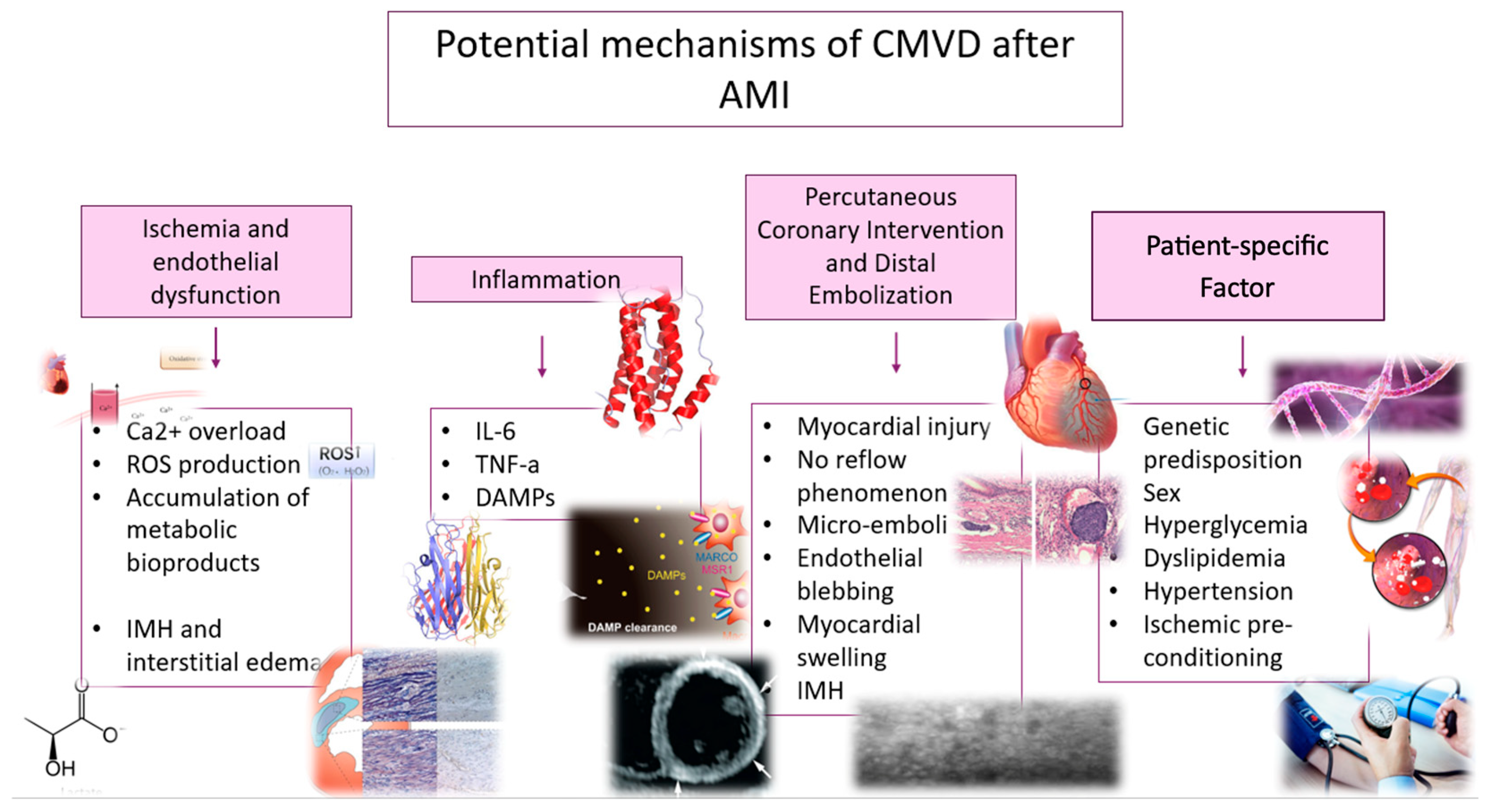 Biomedicines 13 01289 g001