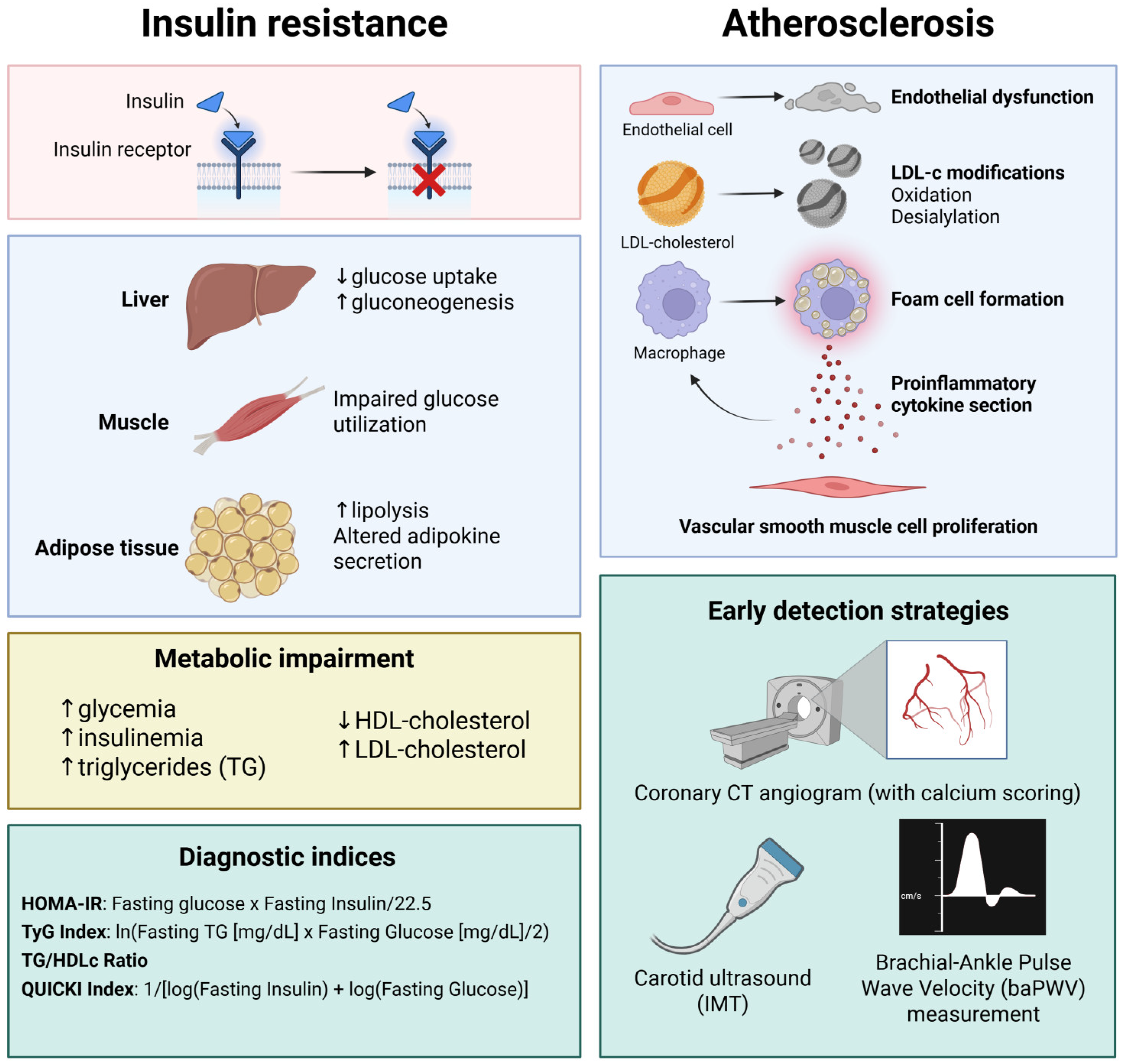 Biomedicines 13 01291 g001 Biomedicines 13 01291 g001