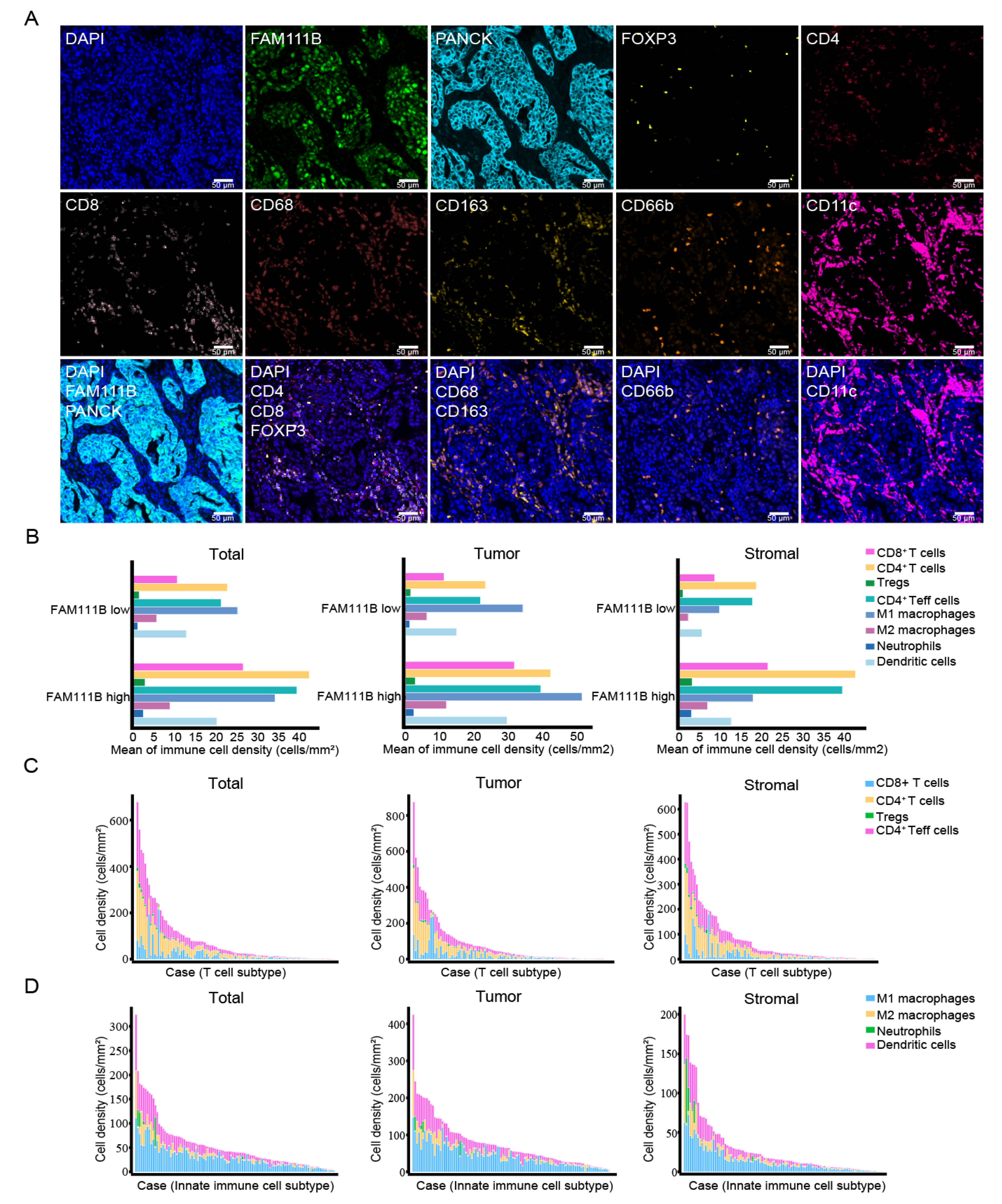 Biomedicines 13 01295 g001