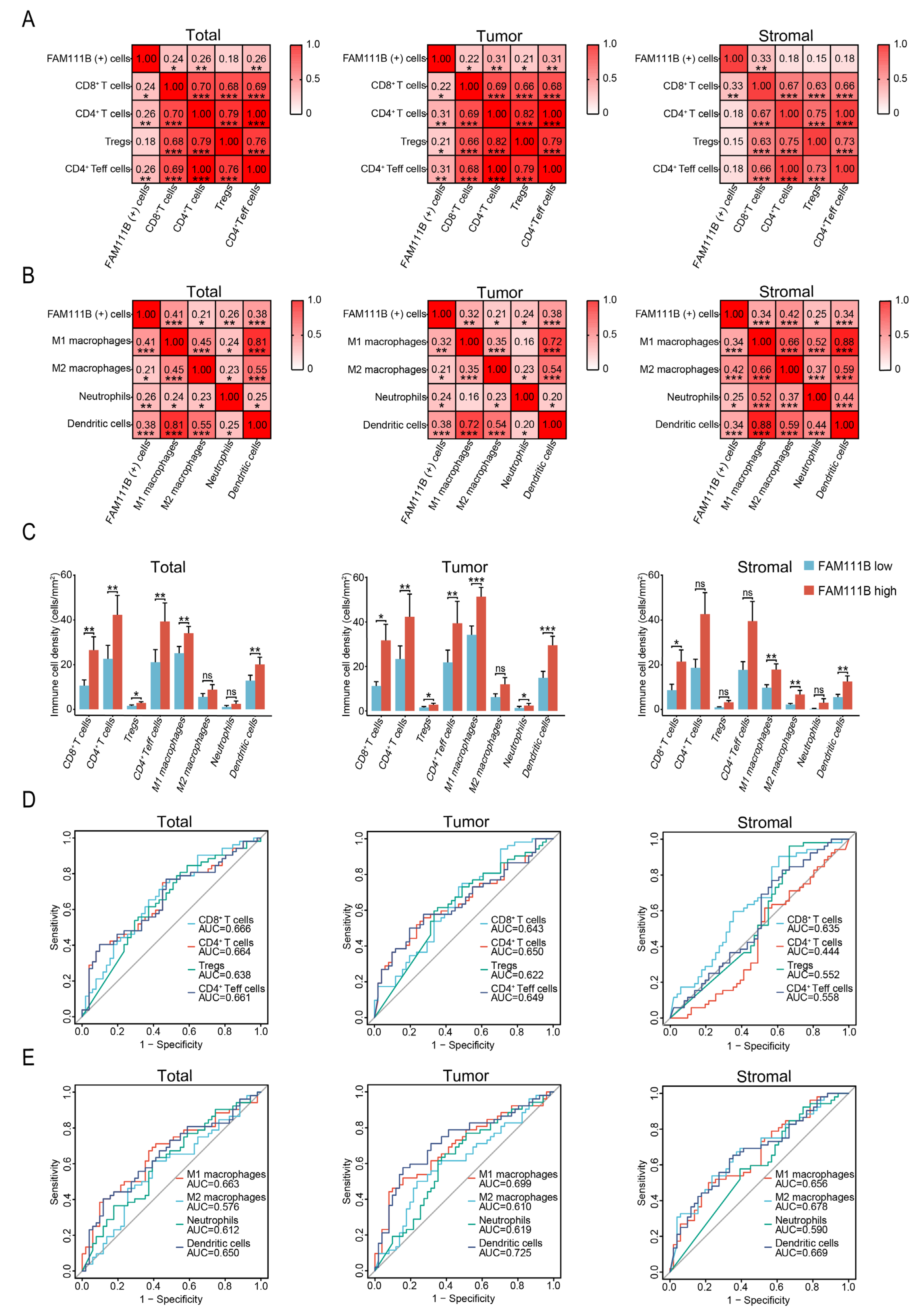 Biomedicines 13 01295 g004