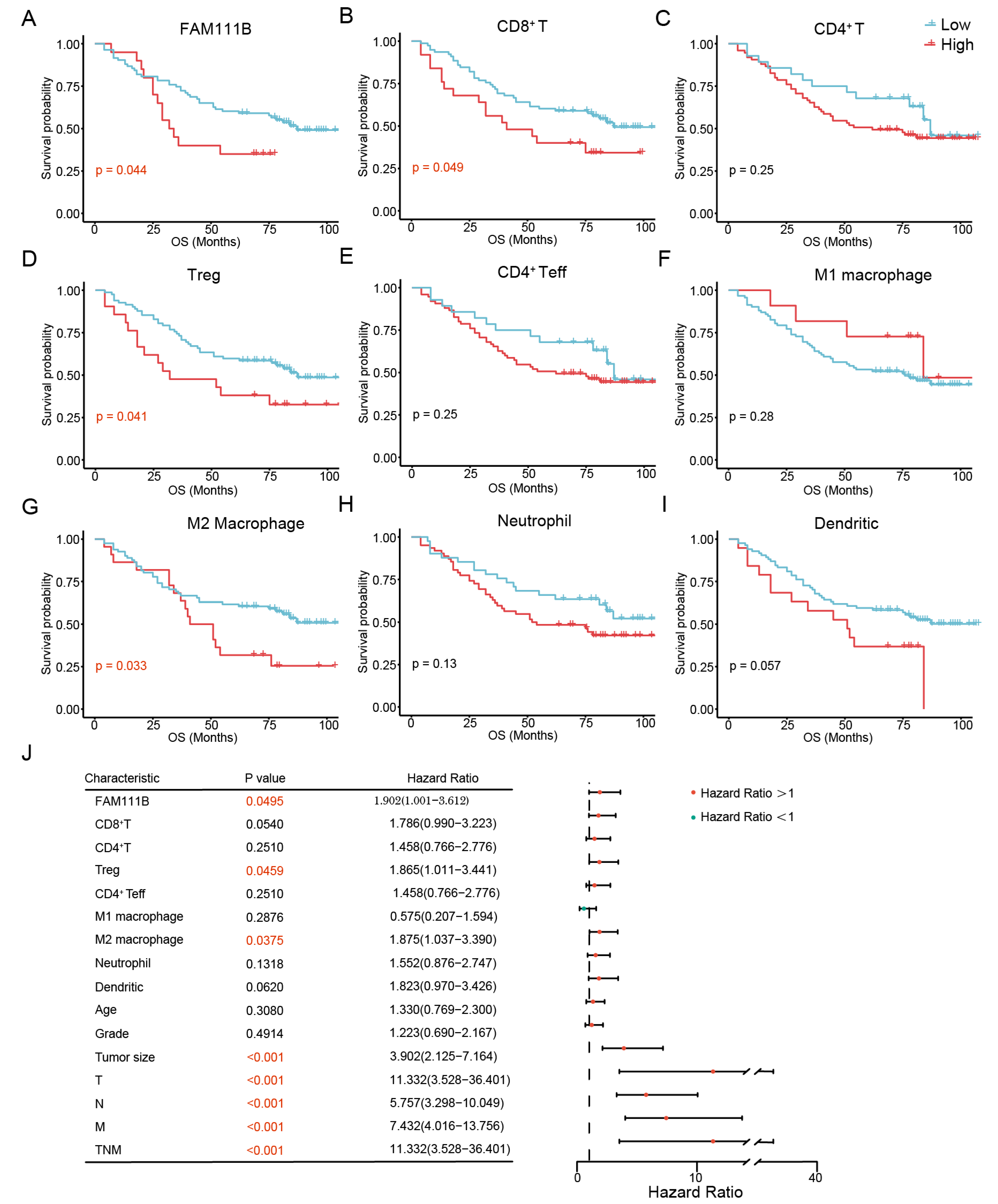 Biomedicines 13 01295 g007