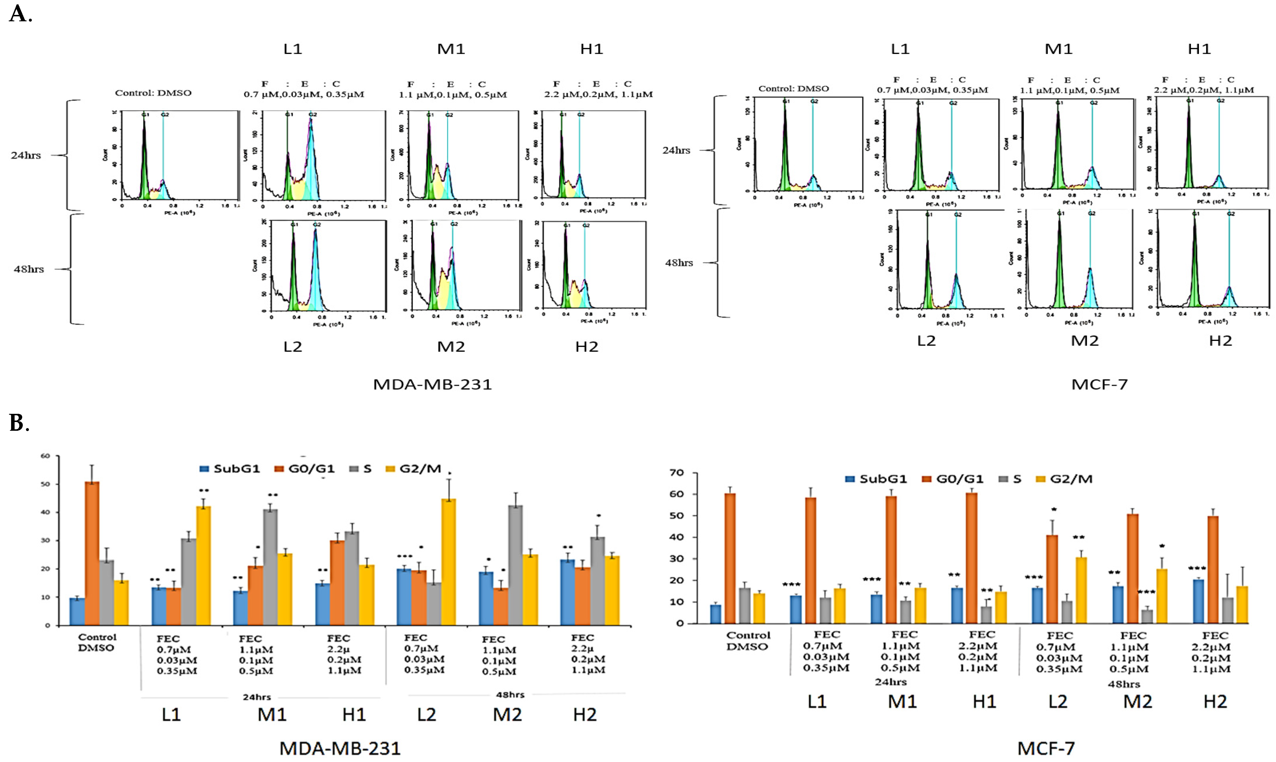 Biomedicines 13 01307 g001