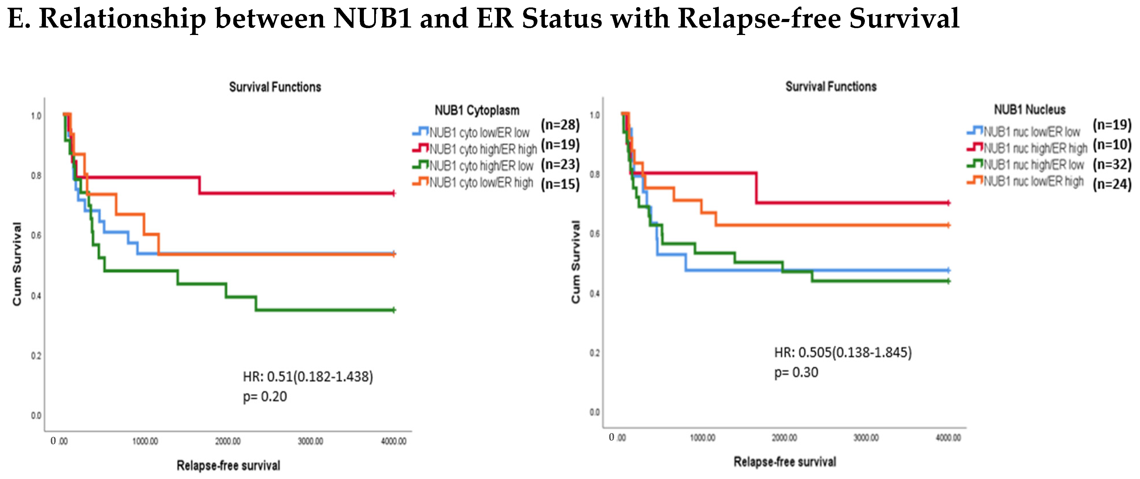 Biomedicines 13 01307 g003e