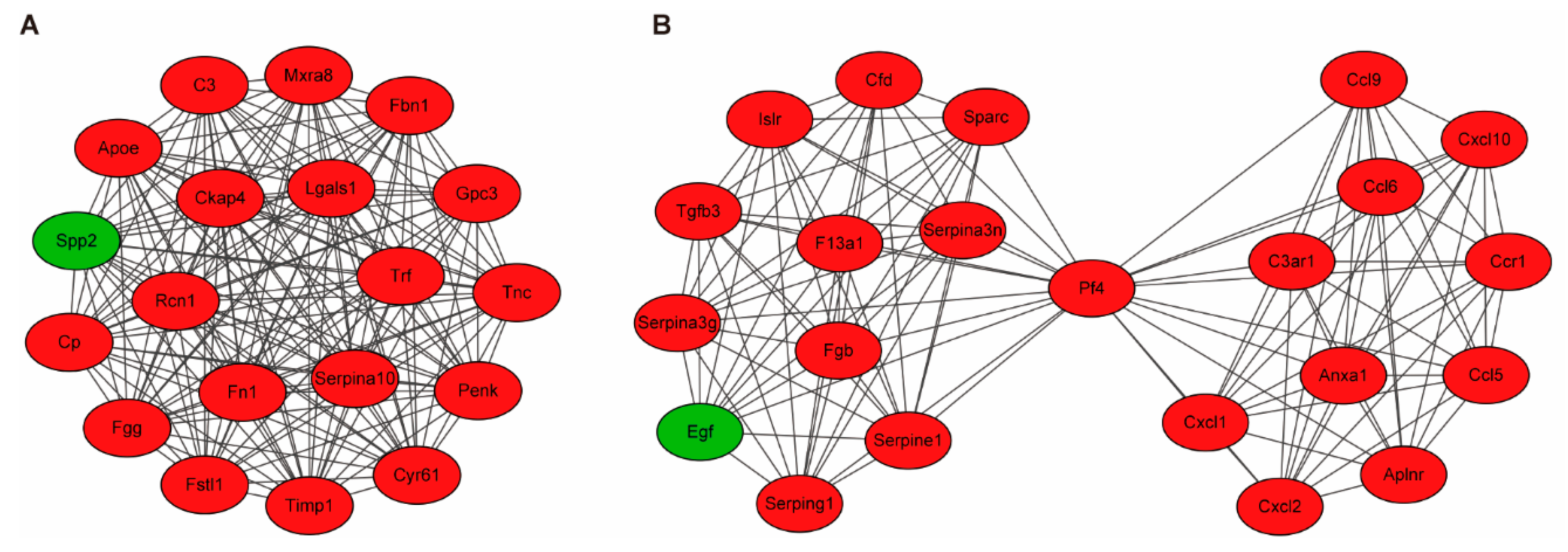Biomedicines 13 01316 g003