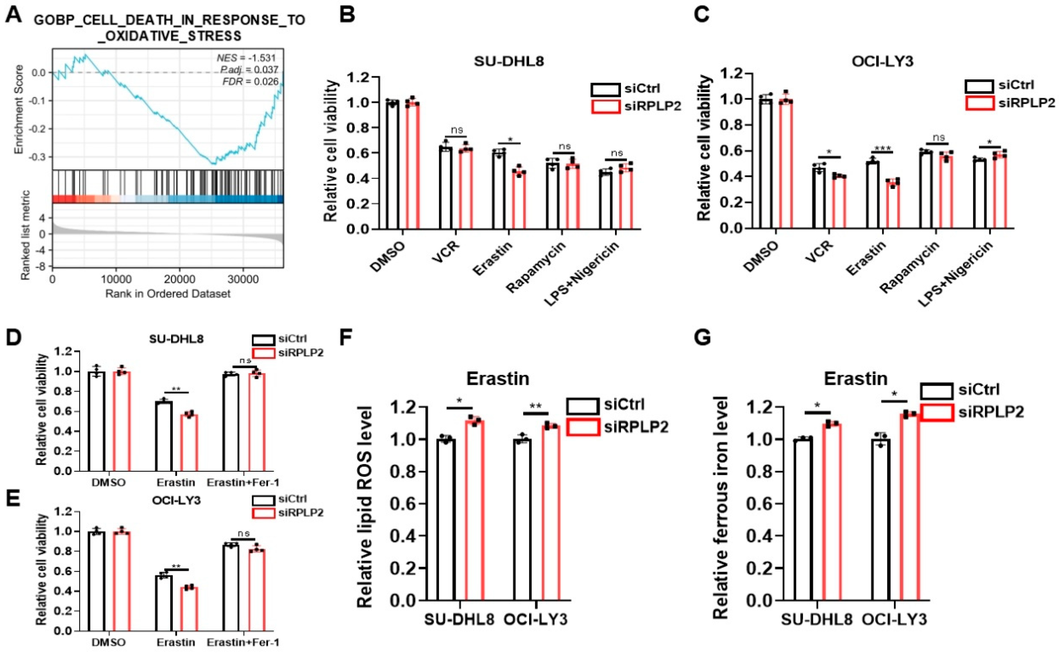 Biomedicines 13 01320 g003