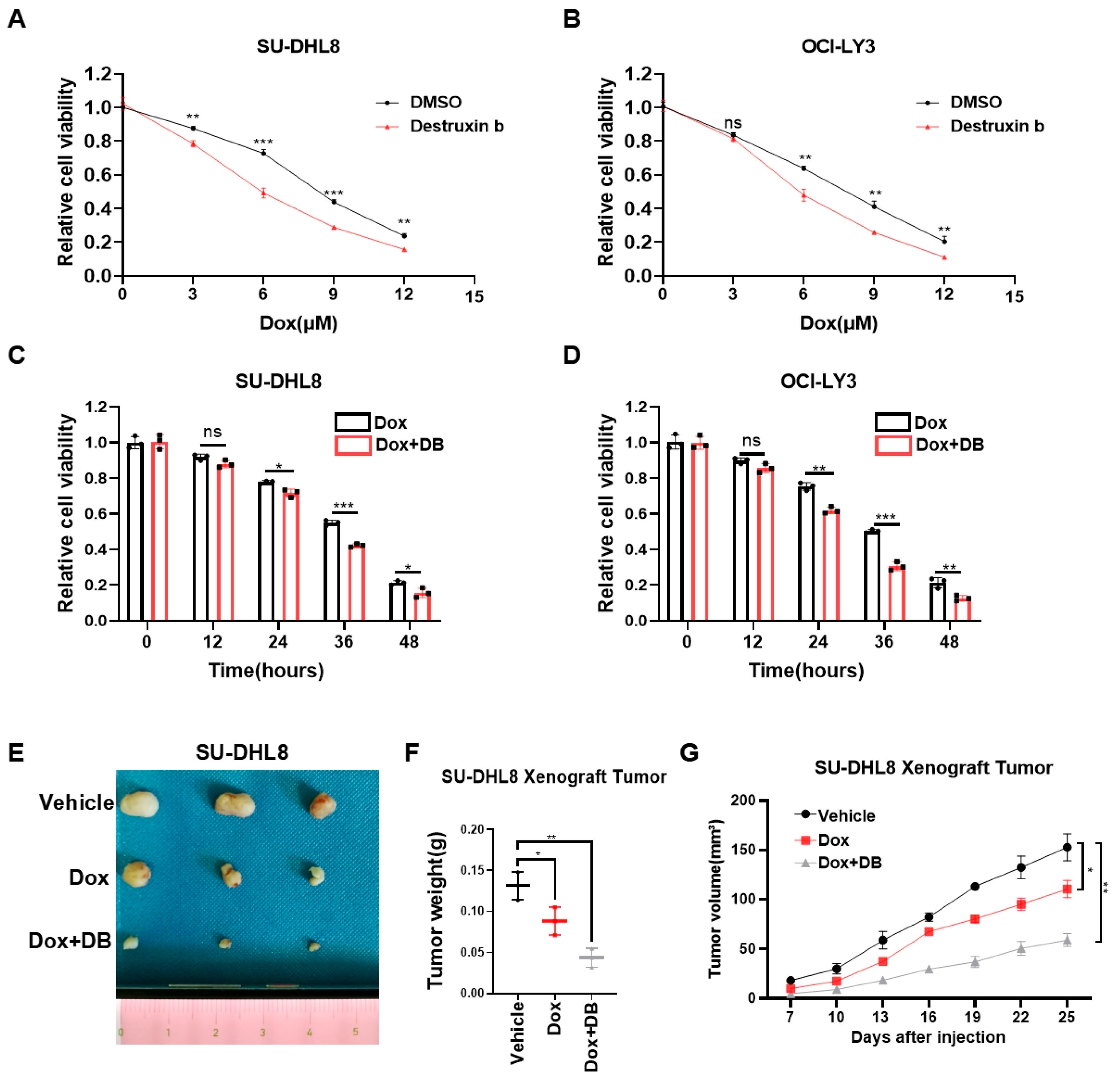 Biomedicines 13 01320 g006