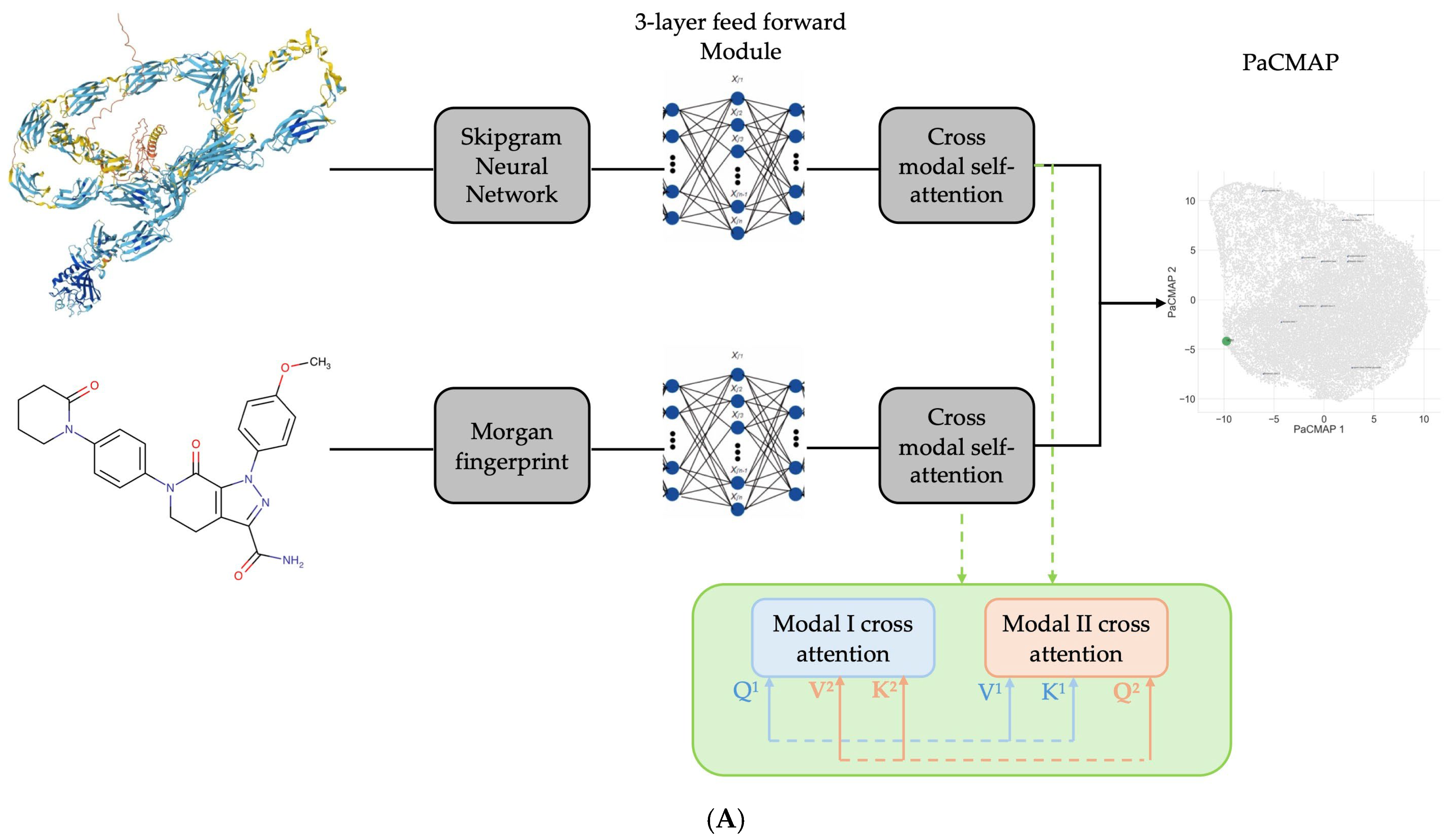 Biomedicines 13 01323 g001a