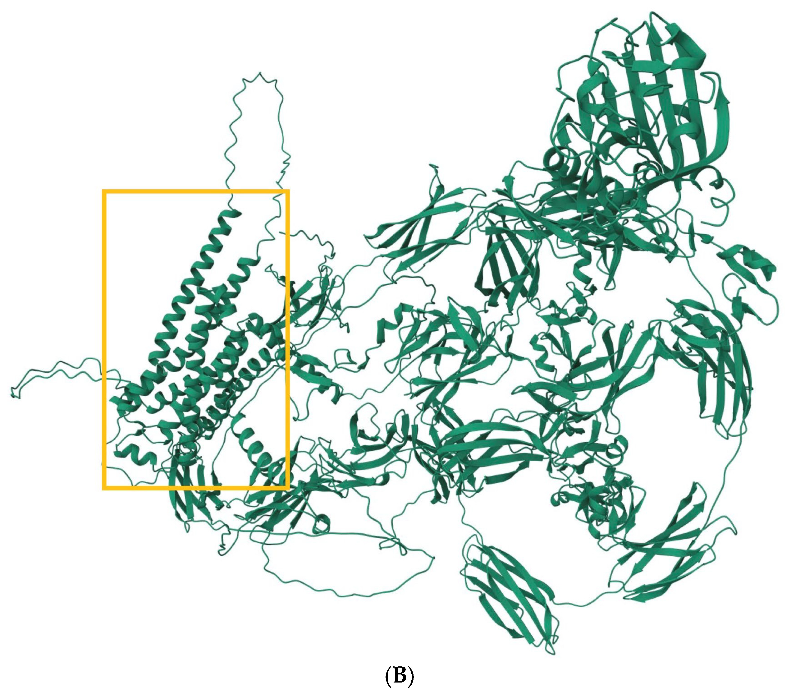 Biomedicines 13 01323 g002b