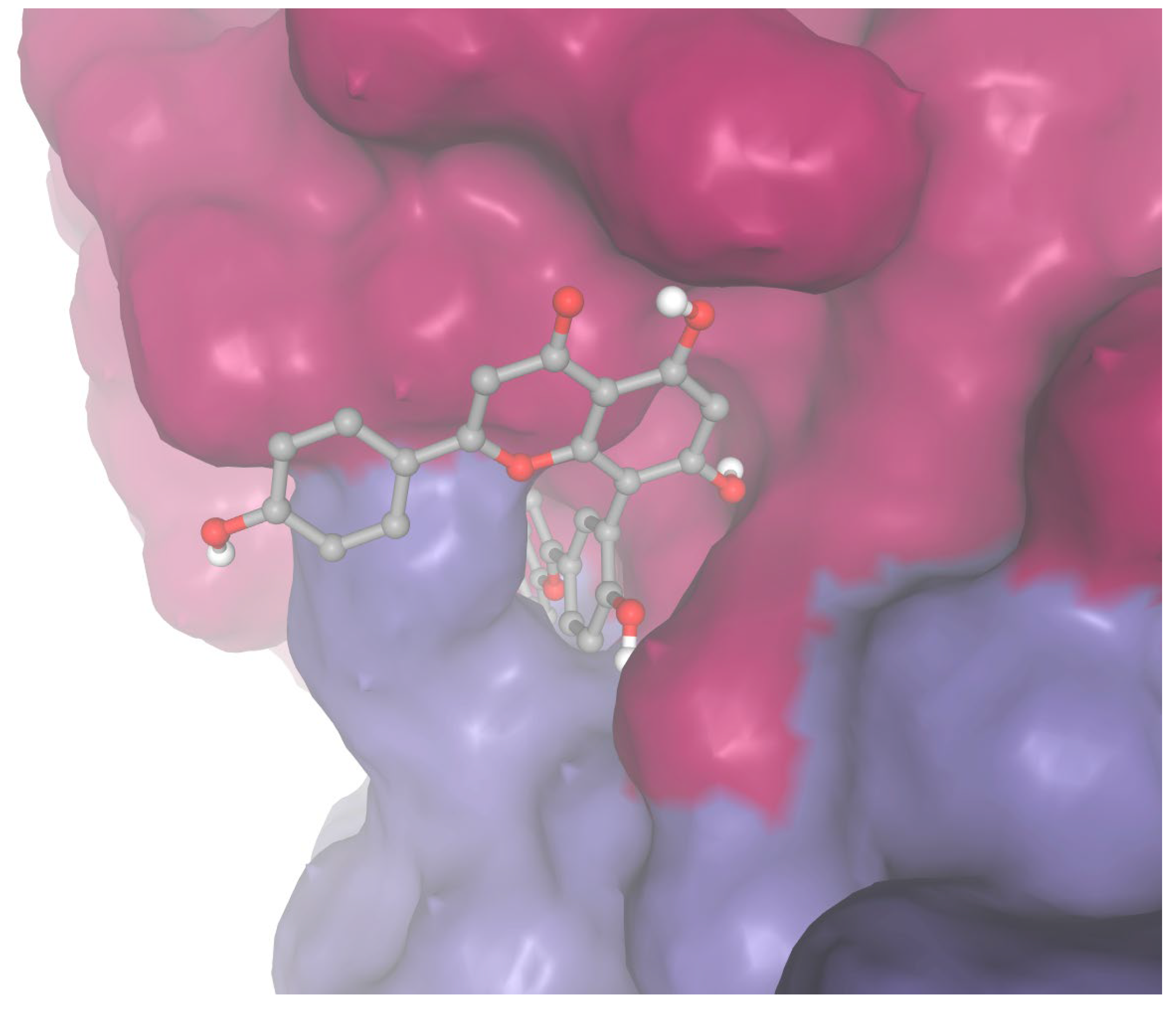 Biomedicines 13 01323 g004