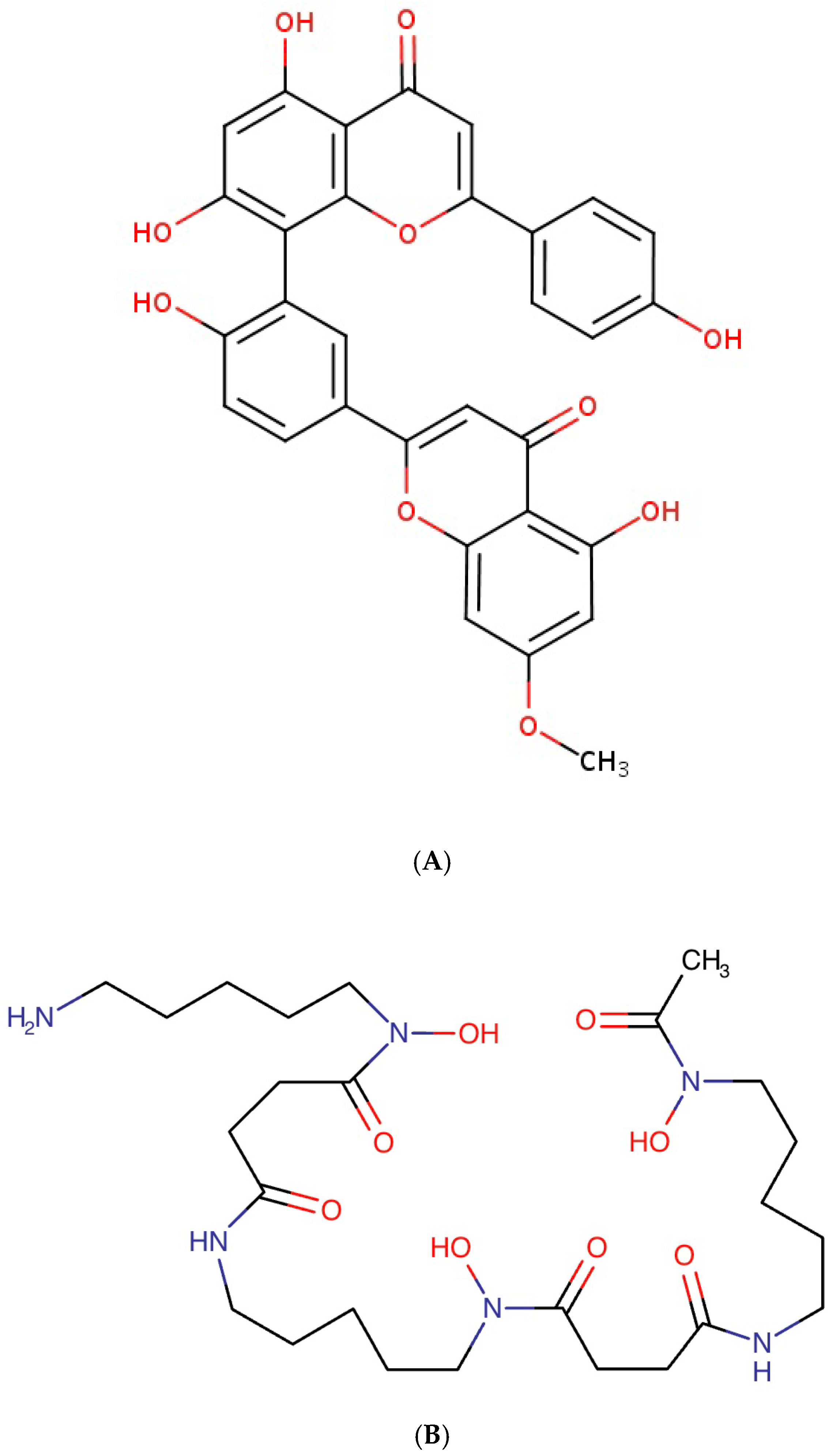 Biomedicines 13 01323 g005