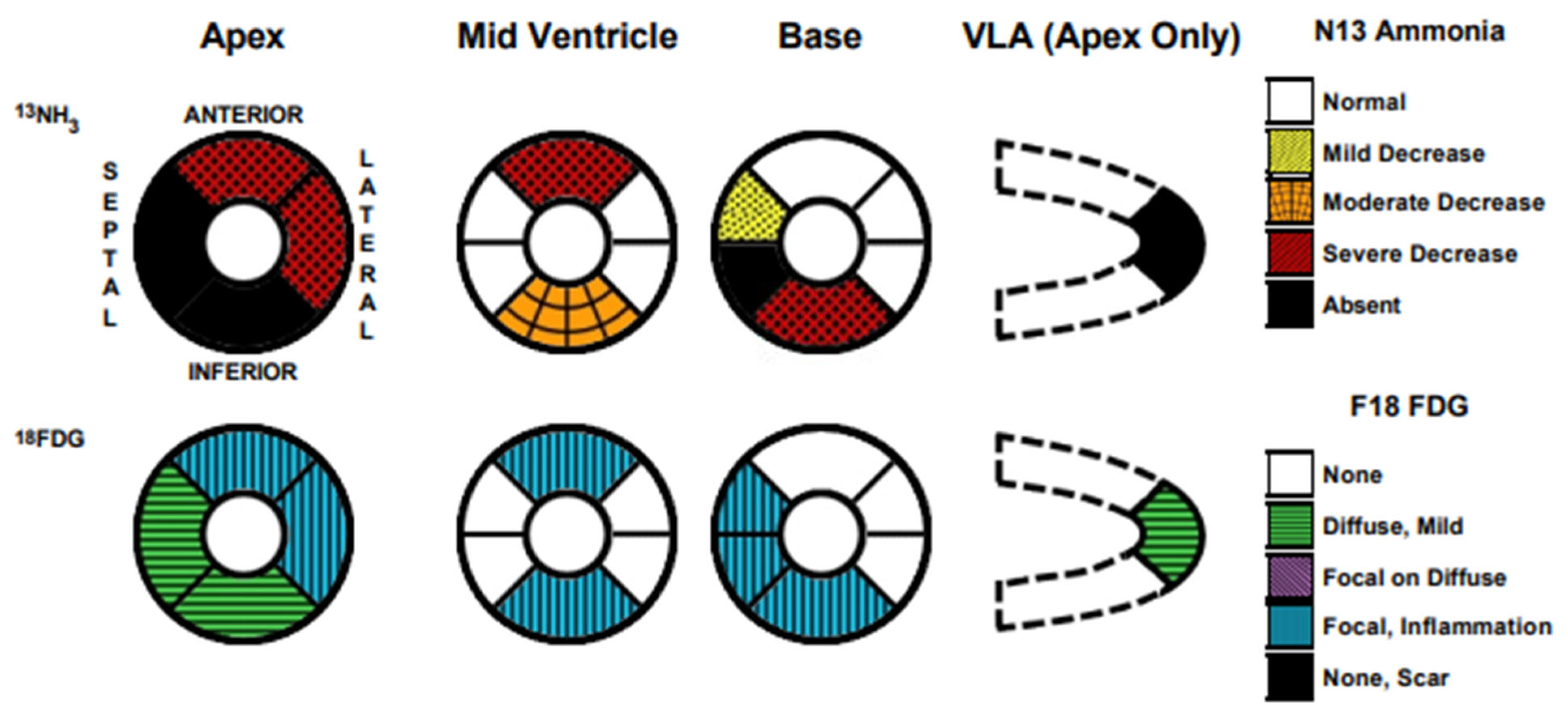 Biomedicines 13 01326 g005