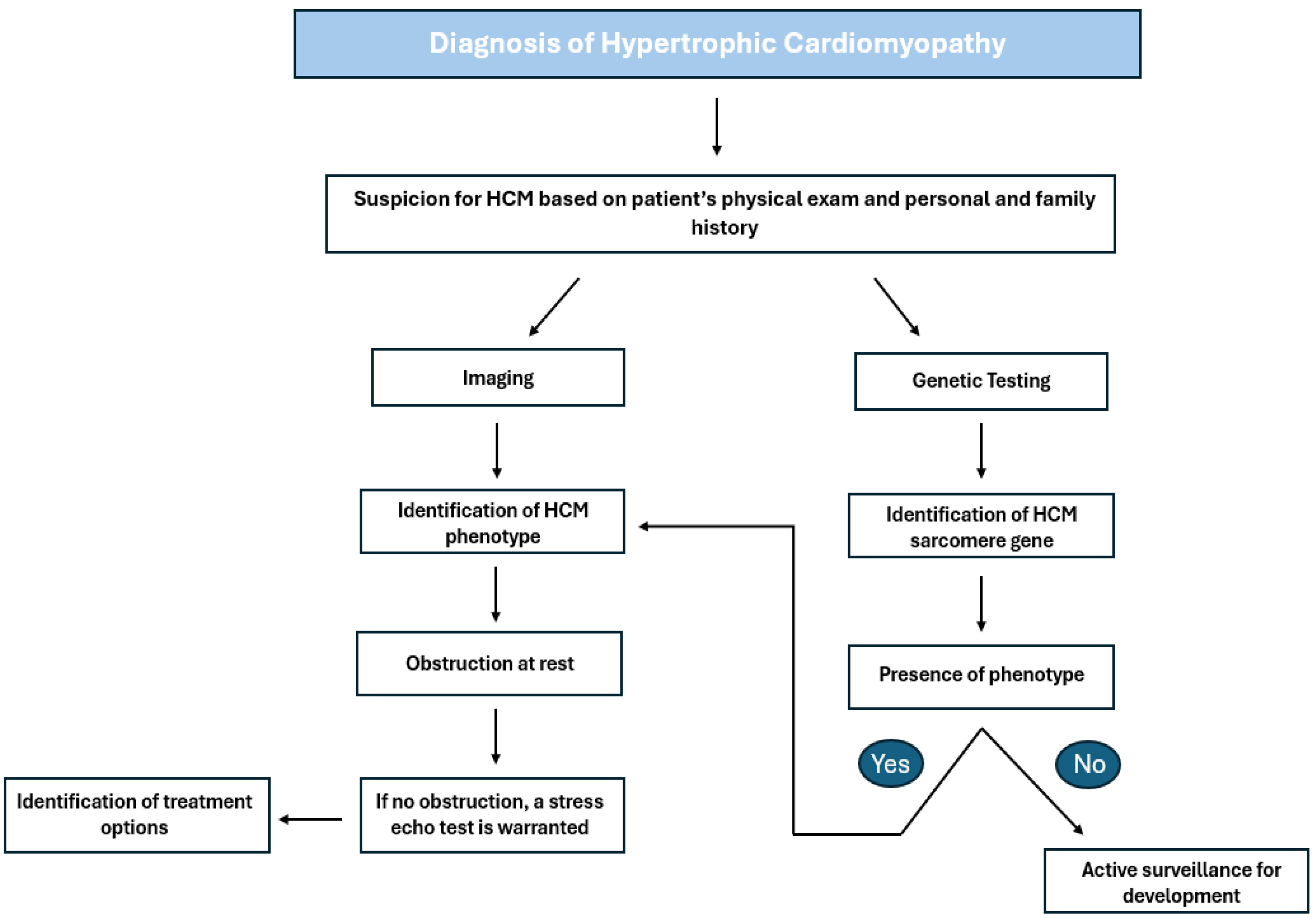 Biomedicines 13 01327 g001