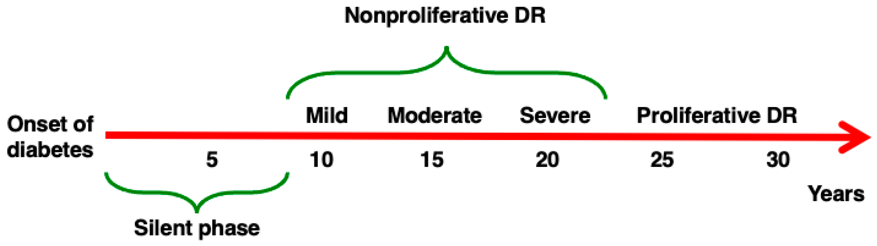 Biomedicines 13 01328 g001