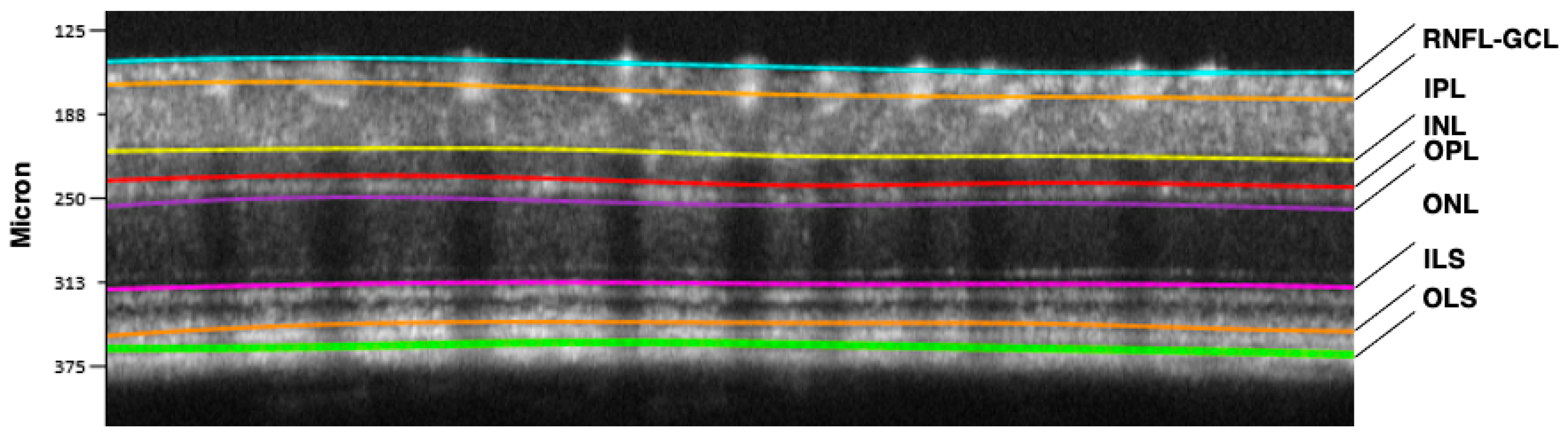 Biomedicines 13 01328 g003