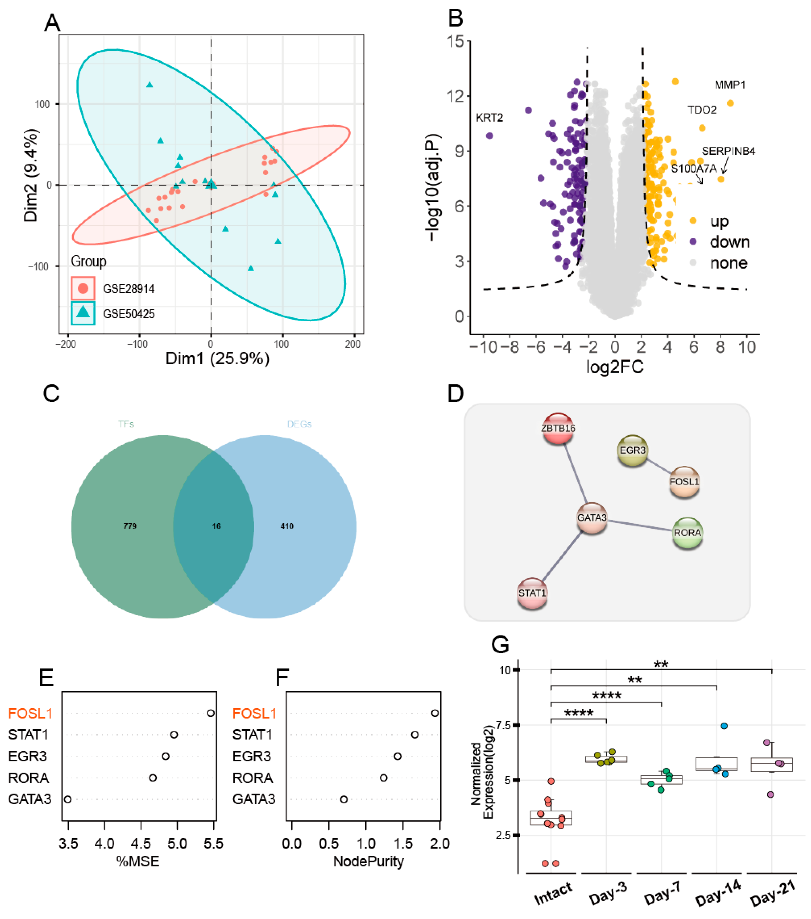 Biomedicines 13 01330 g001