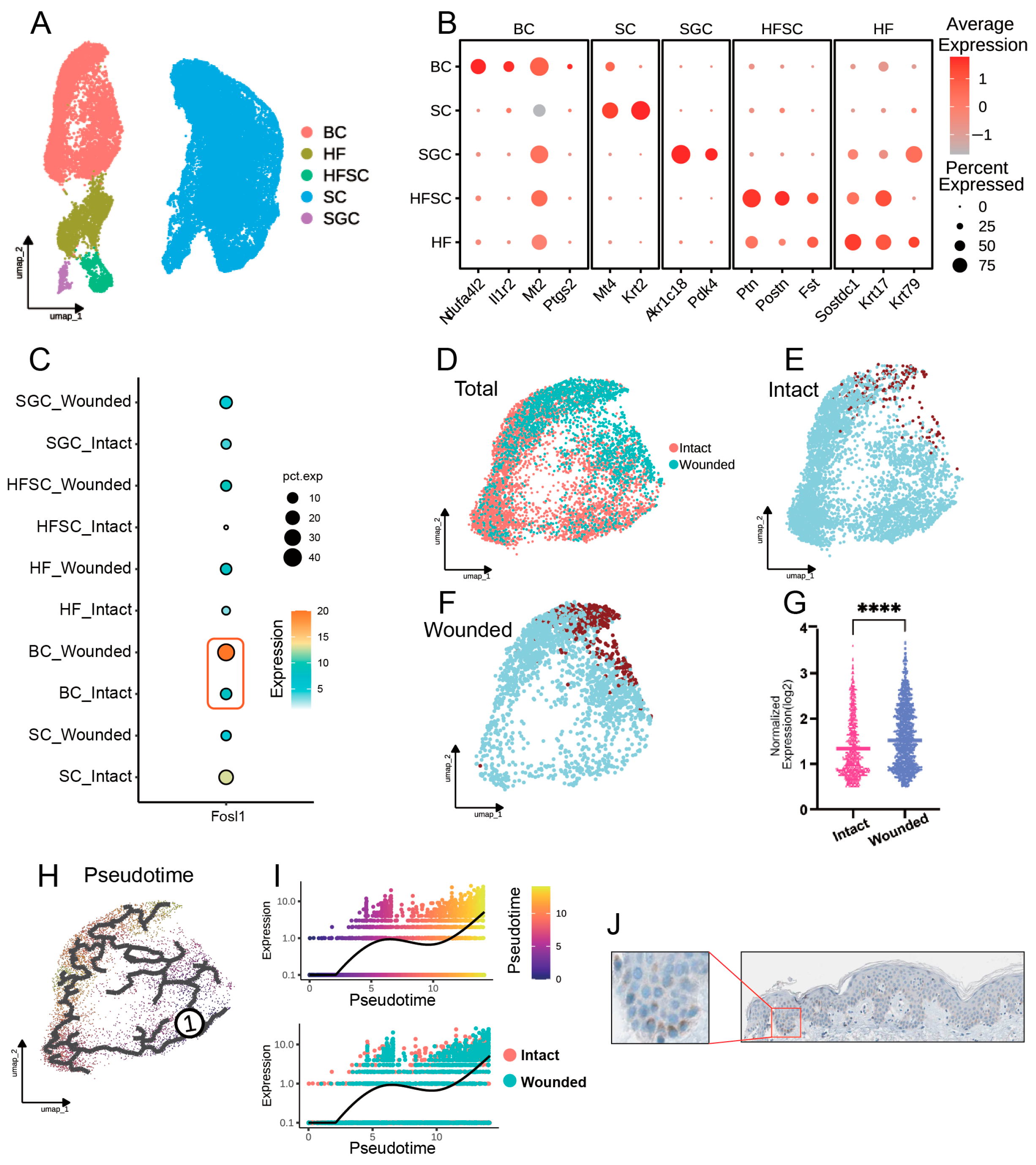 Biomedicines 13 01330 g004