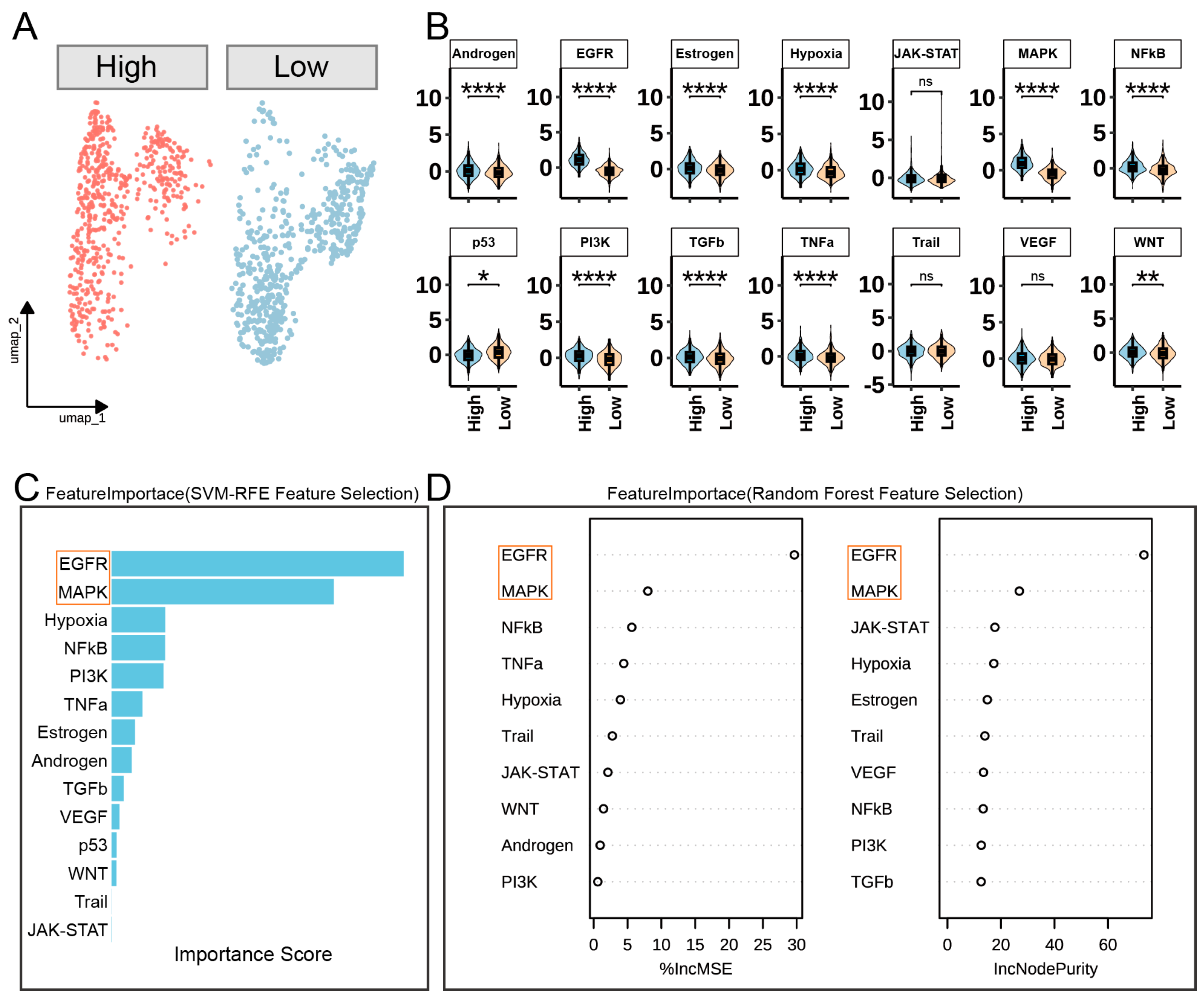 Biomedicines 13 01330 g005