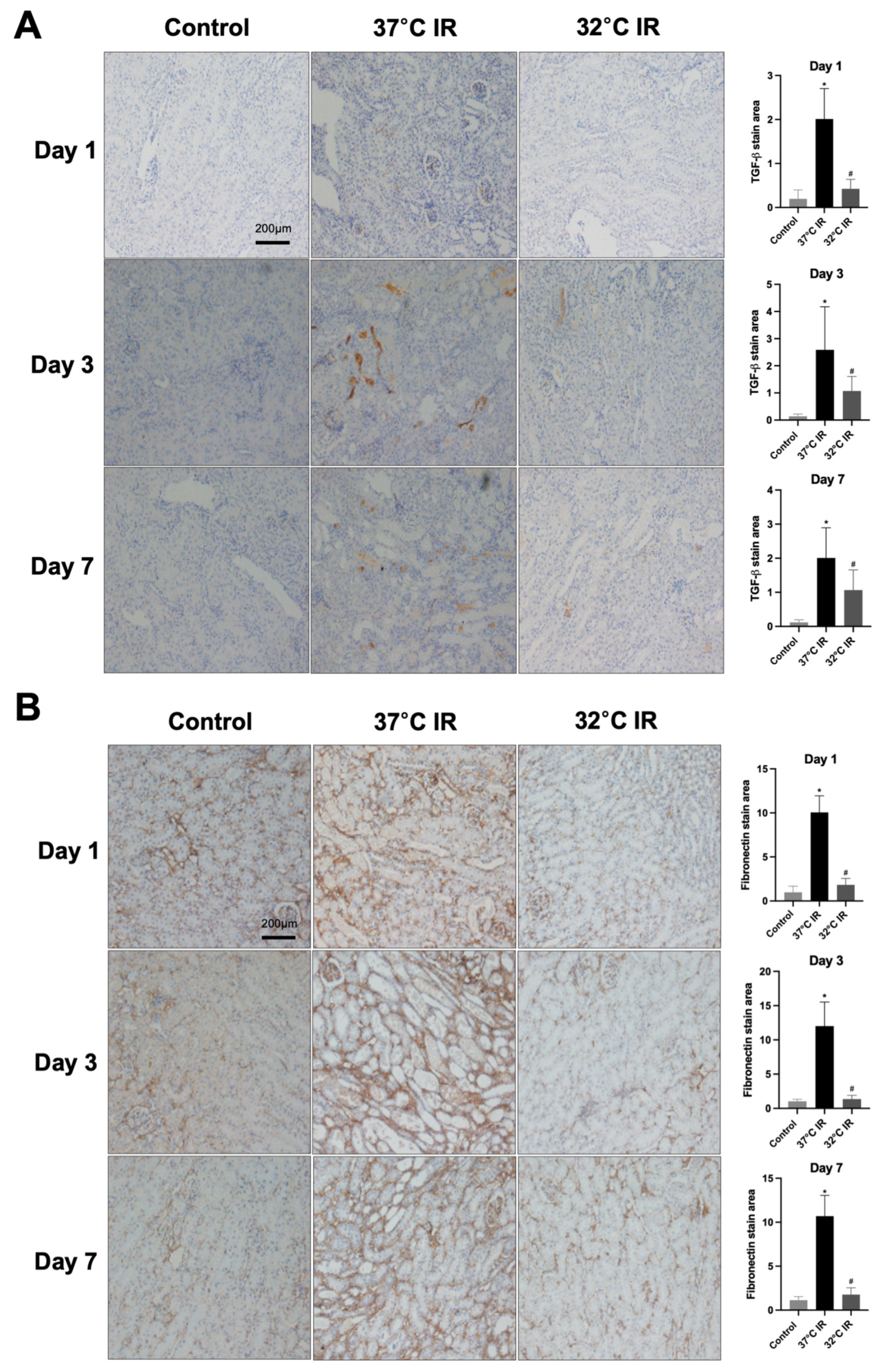 Biomedicines 13 01337 g004a