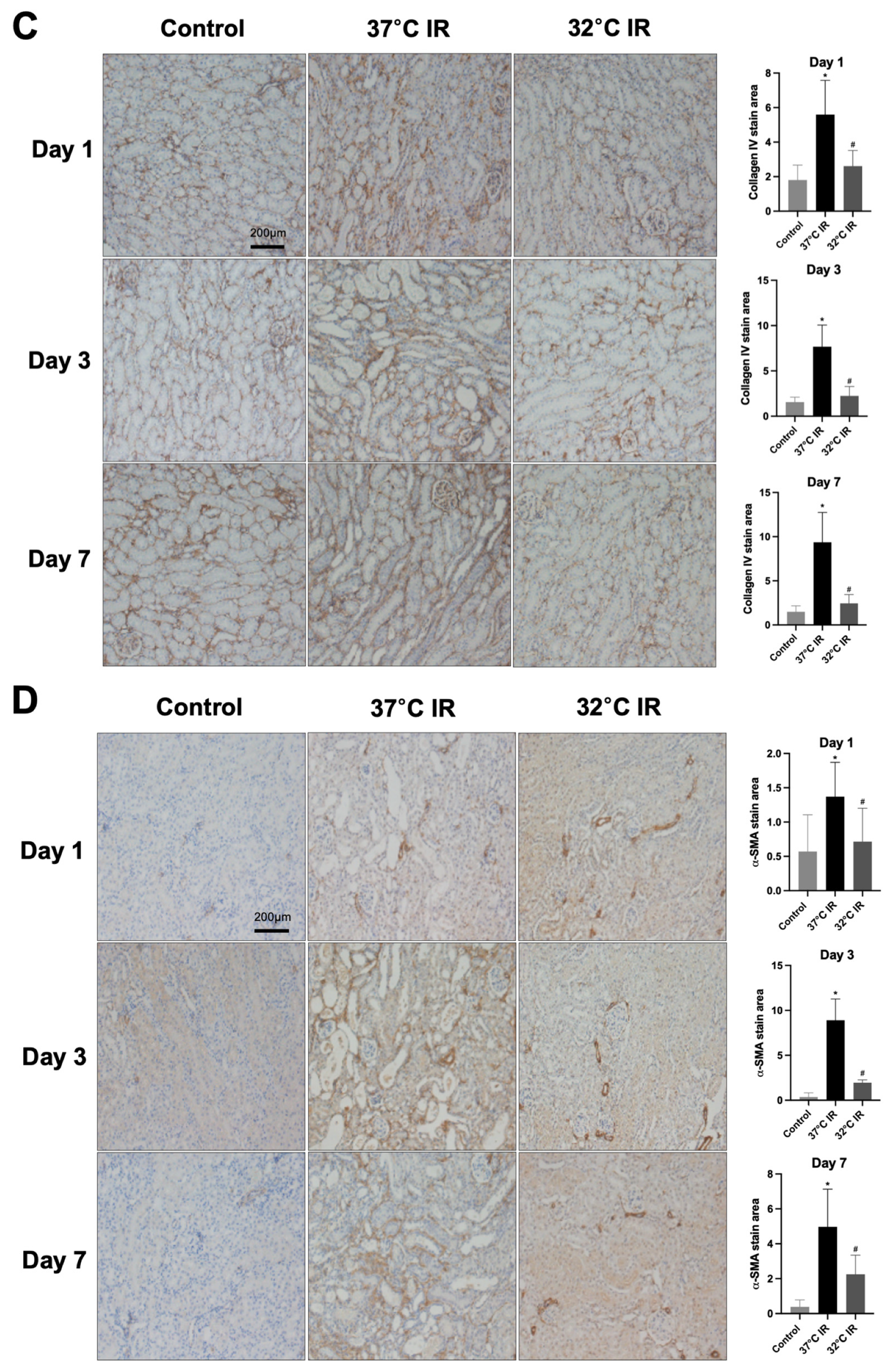 Biomedicines 13 01337 g004b