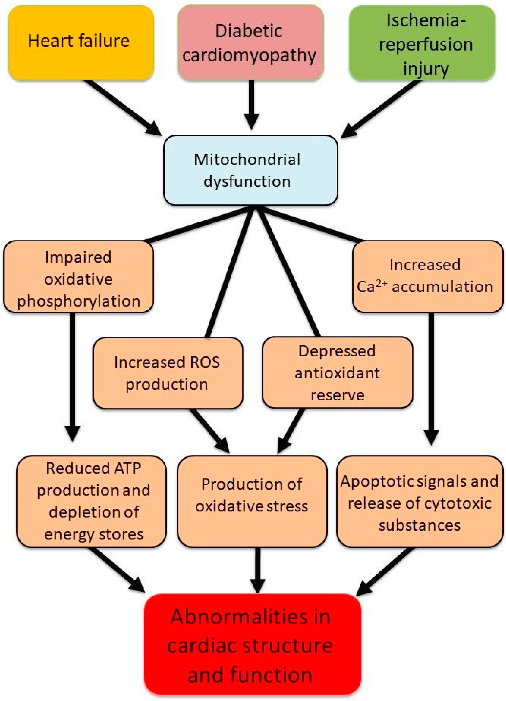 Biomedicines 13 01338 g001