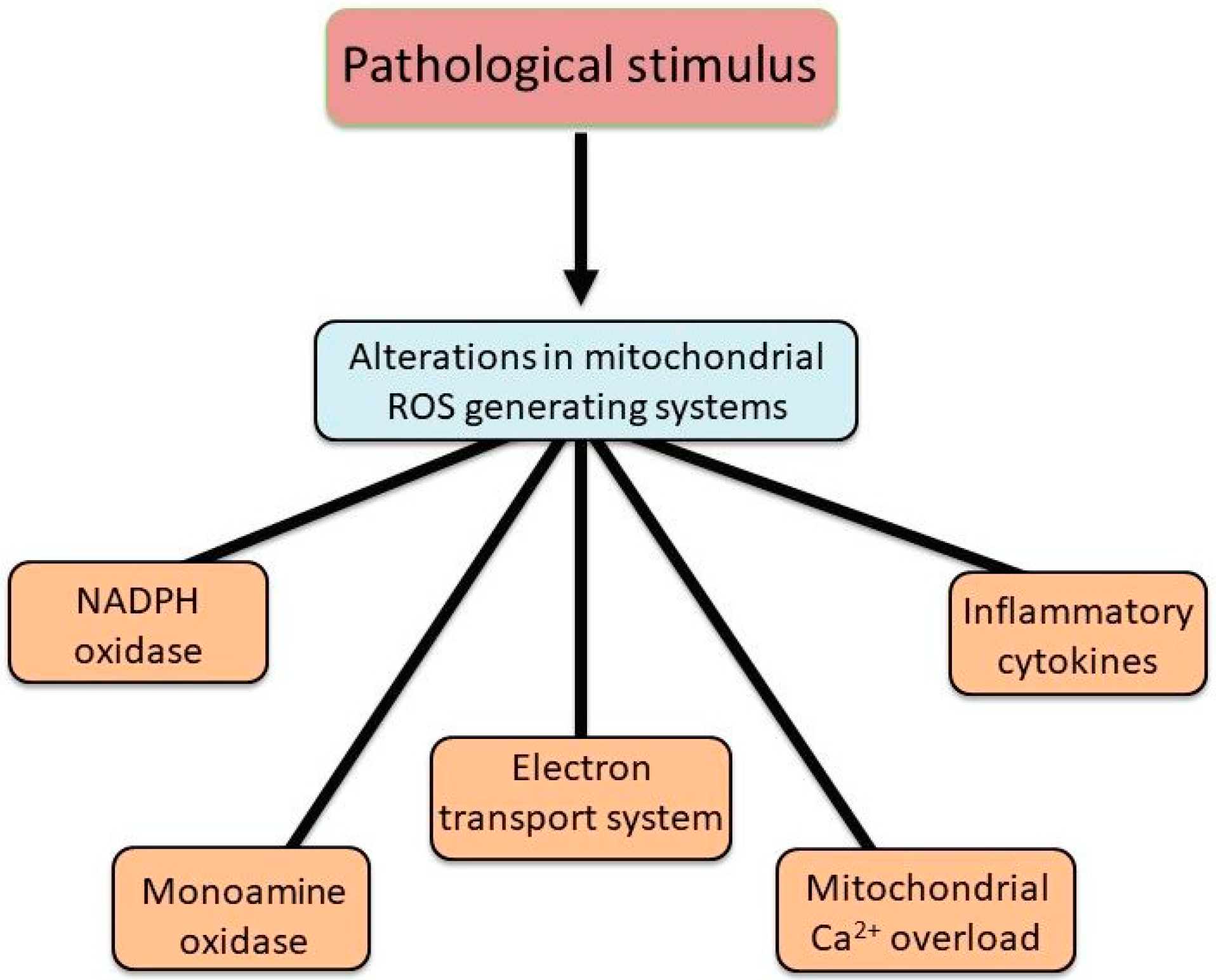 Biomedicines 13 01338 g002
