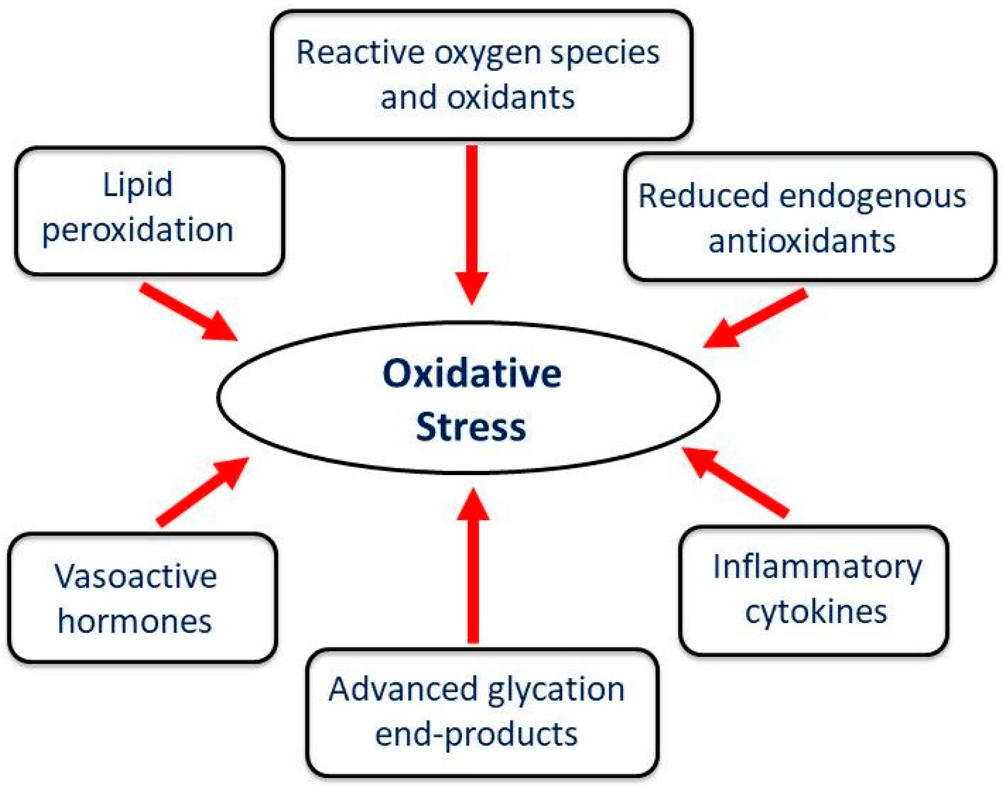 Biomedicines 13 01338 g003