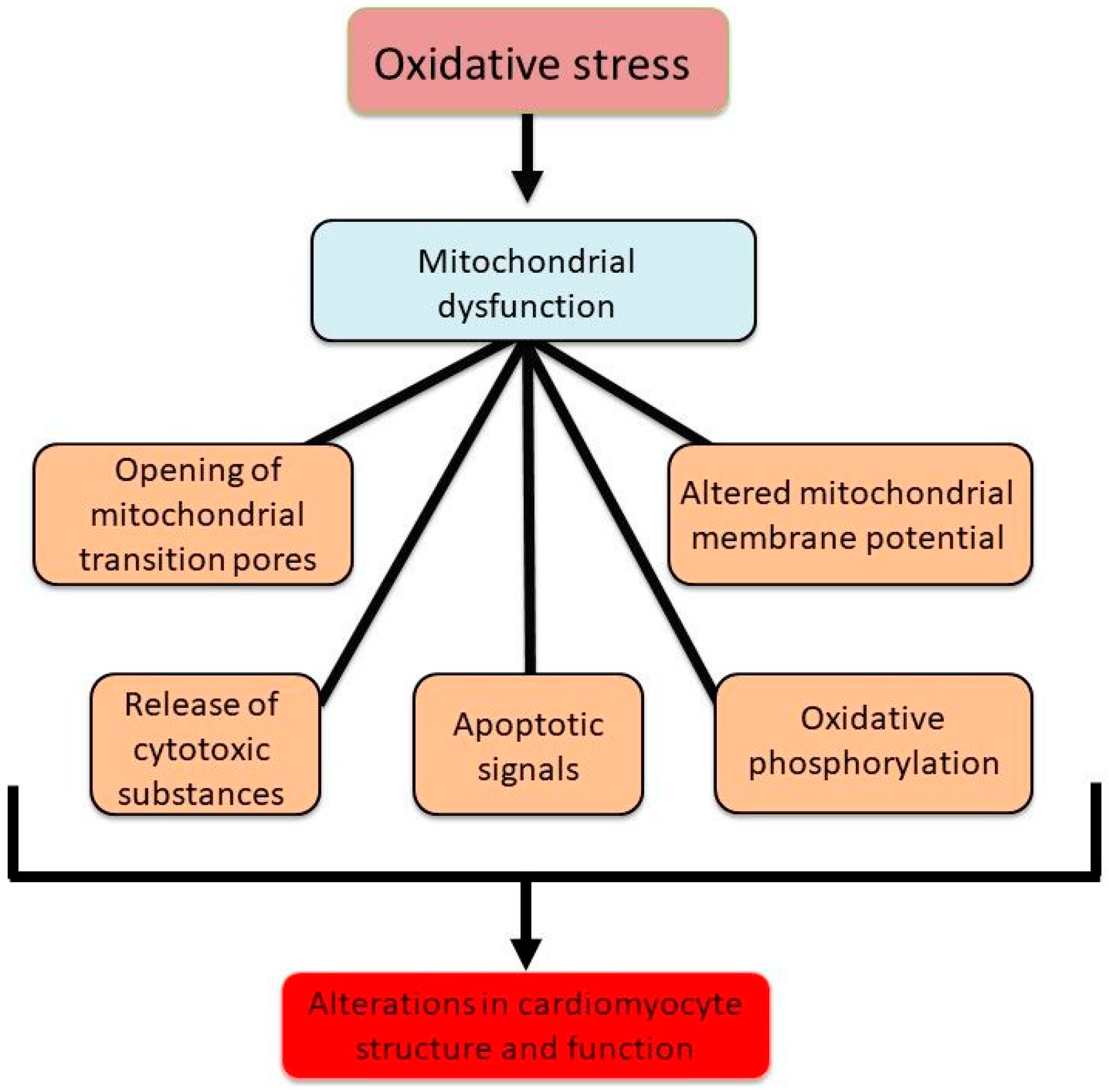 Biomedicines 13 01338 g004