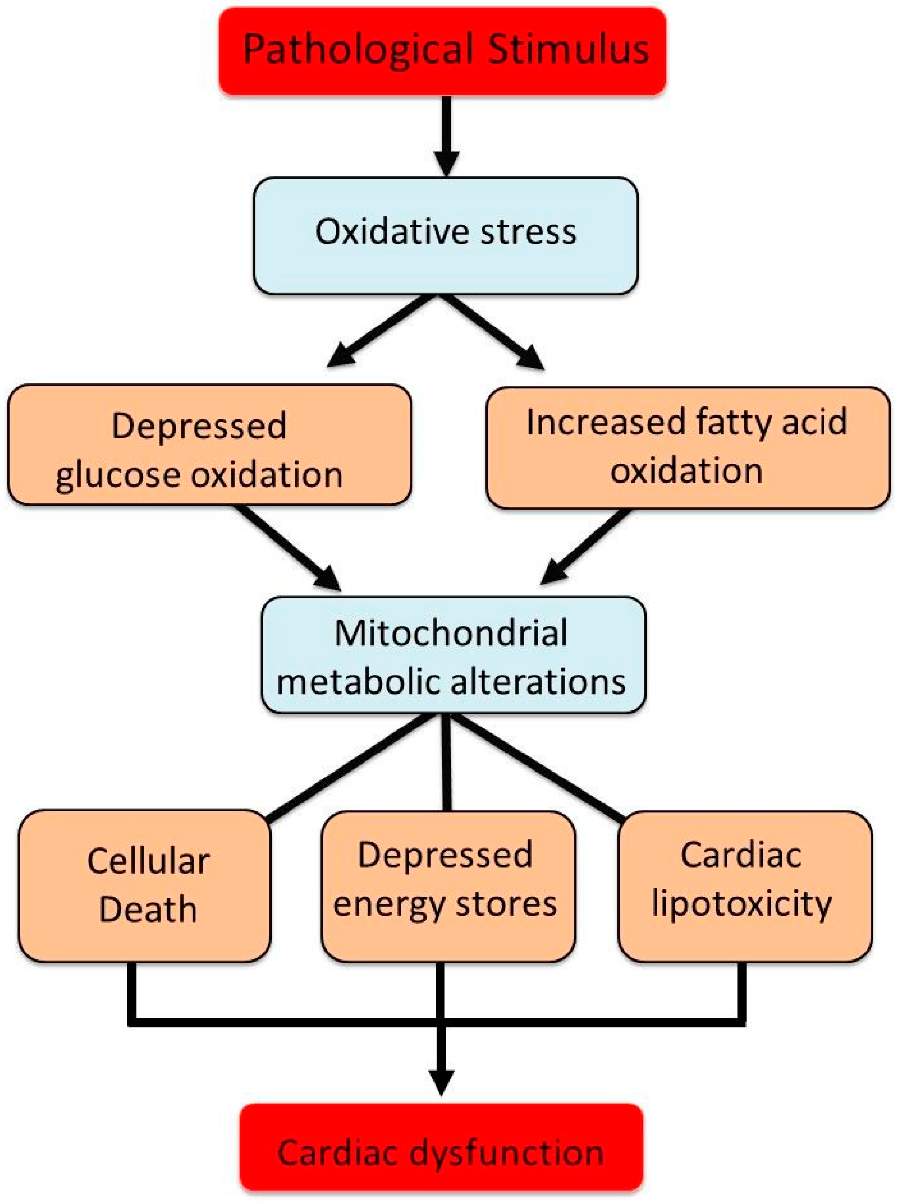 Biomedicines 13 01338 g006