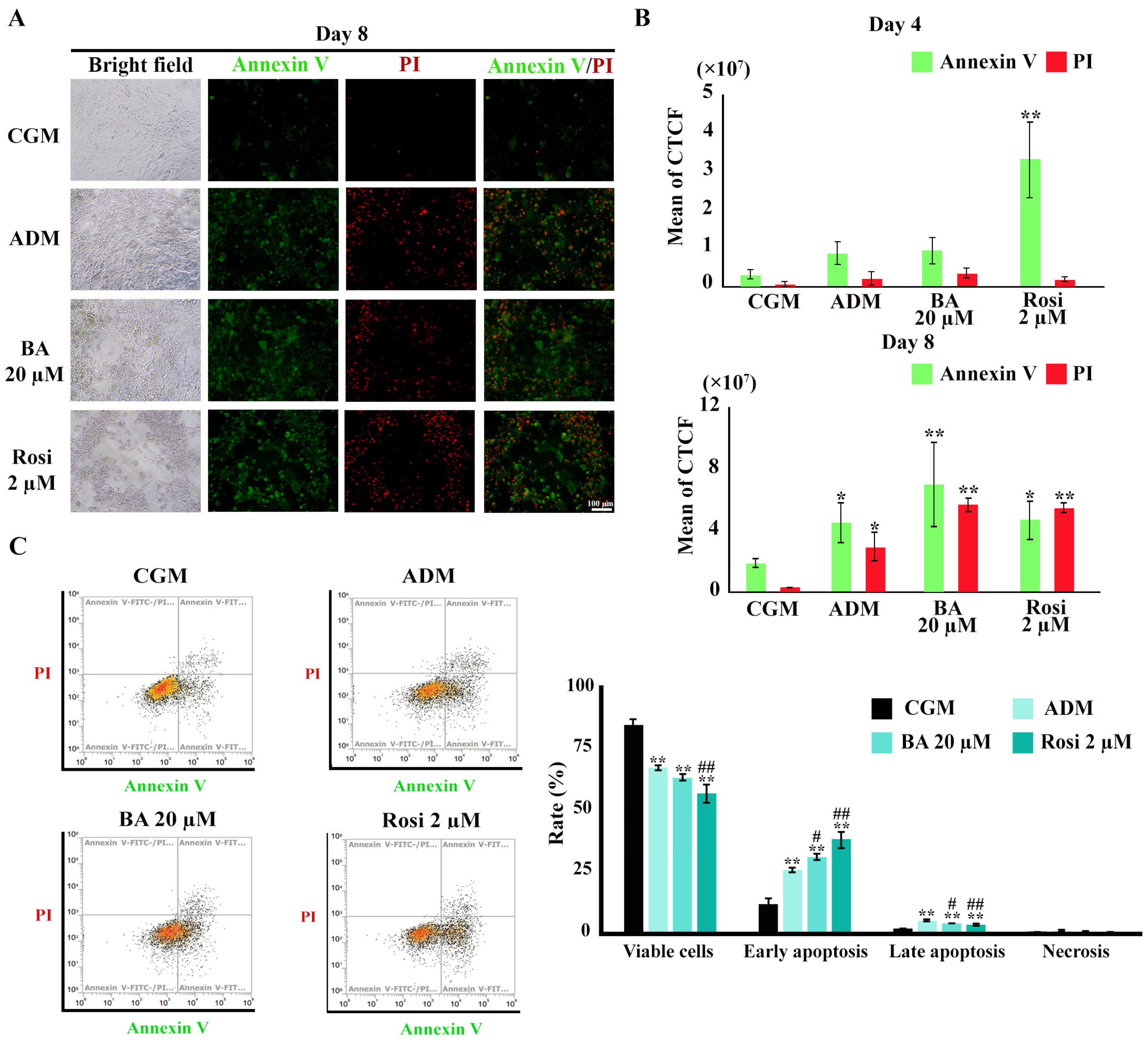 Biomedicines 13 01340 g009