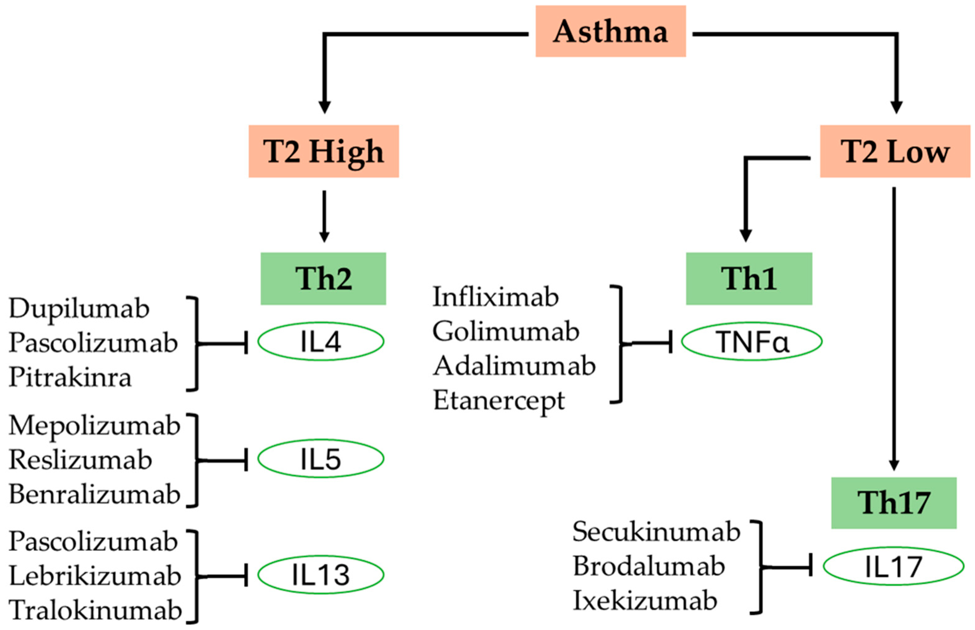 Biomedicines 13 01342 g001 Biomedicines 13 01342 g001
