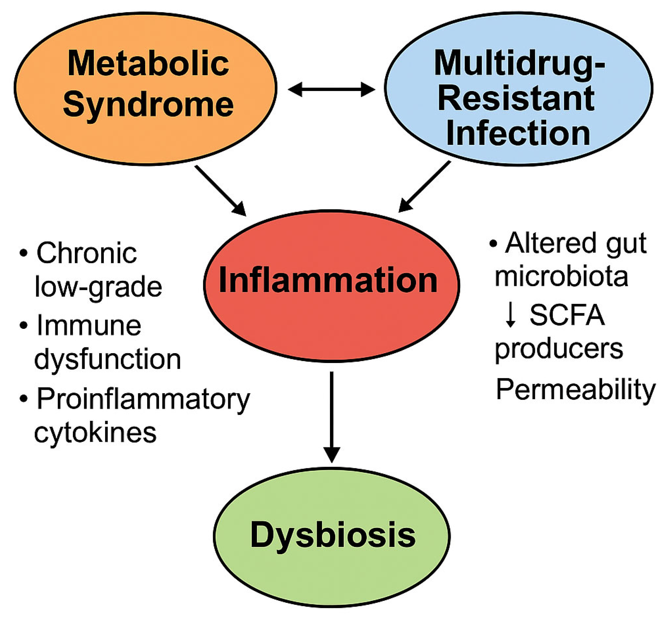 Biomedicines 13 01343 g007 Biomedicines 13 01343 g007