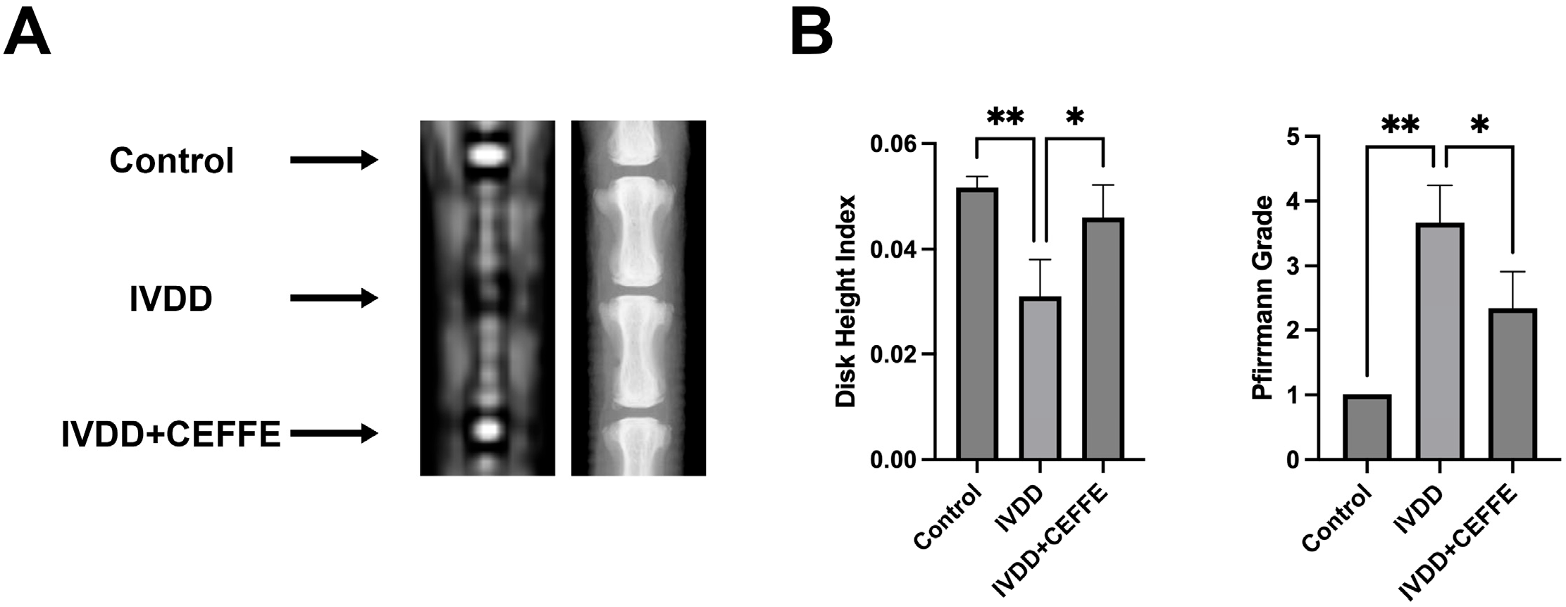 Biomedicines 13 01344 g005