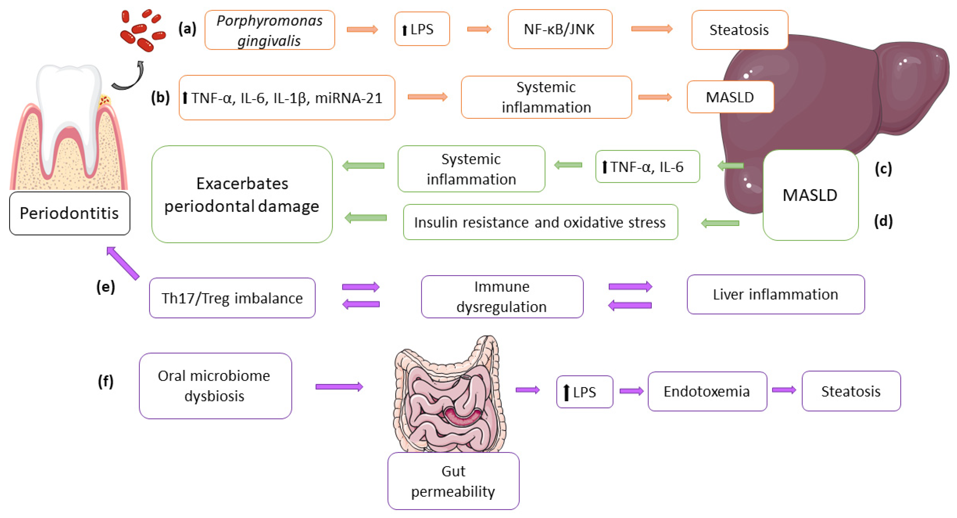 Biomedicines 13 01346 g002