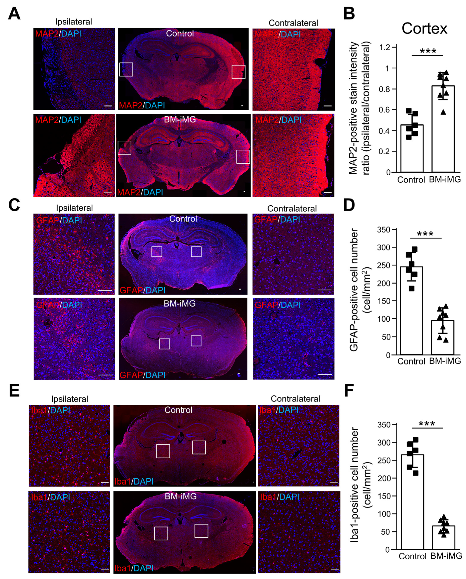 Biomedicines 13 01347 g004